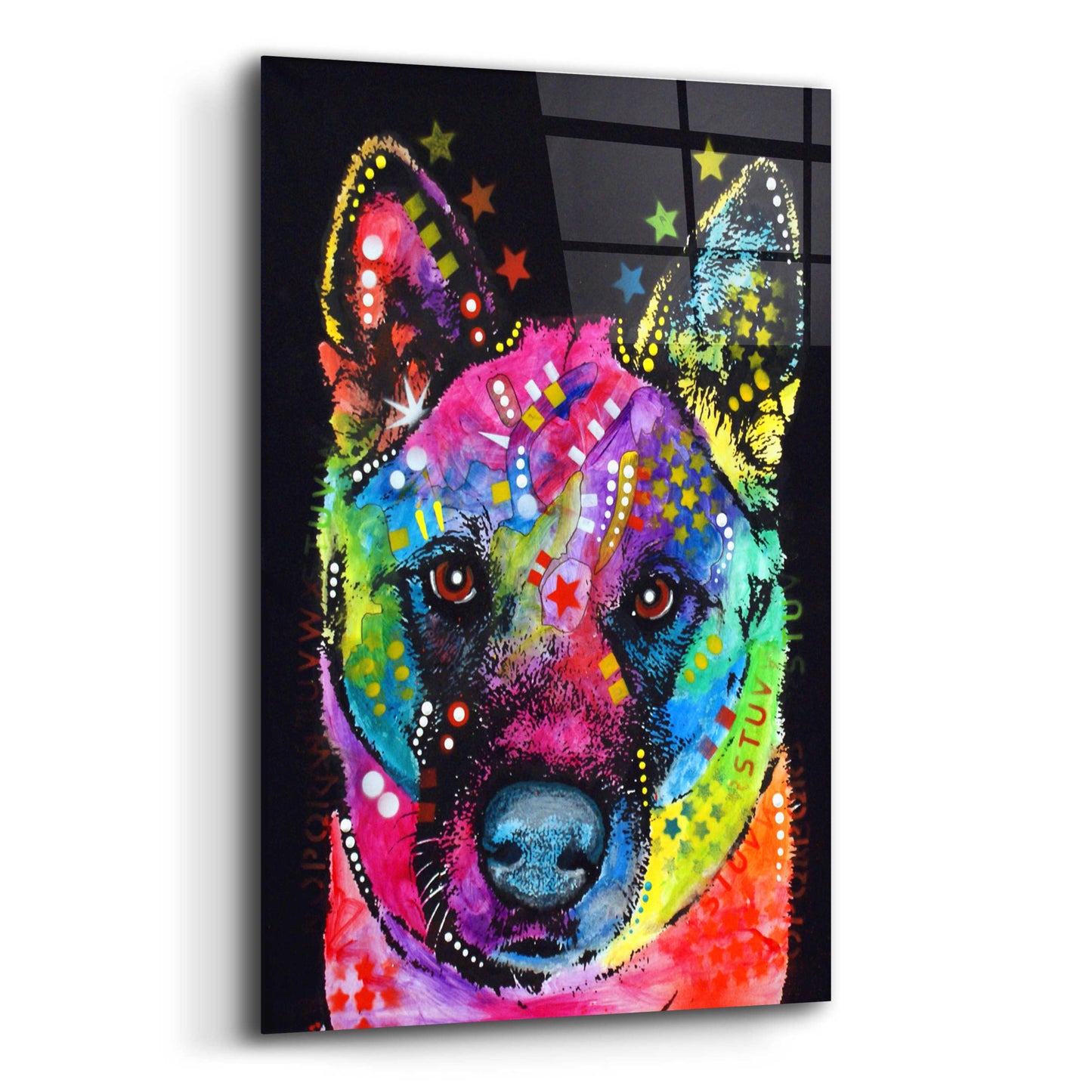 Epic Art 'Akita 2' by Dean Russo, Acrylic Glass Wall Art,12x16