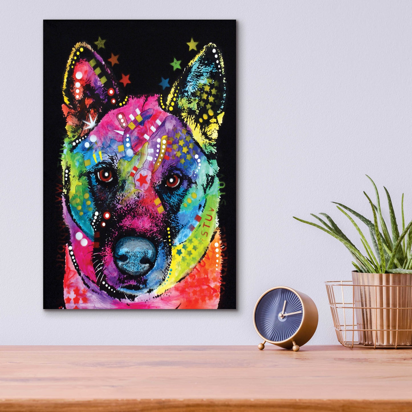 Epic Art 'Akita 2' by Dean Russo, Acrylic Glass Wall Art,12x16