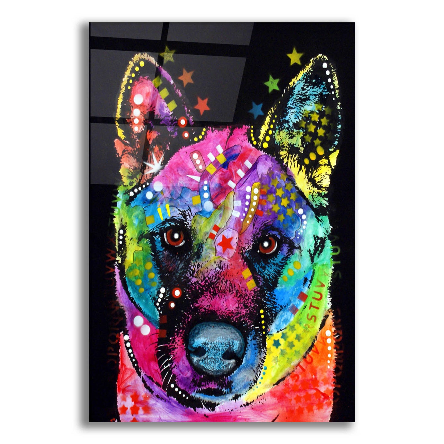 Epic Art 'Akita 2' by Dean Russo, Acrylic Glass Wall Art,12x16