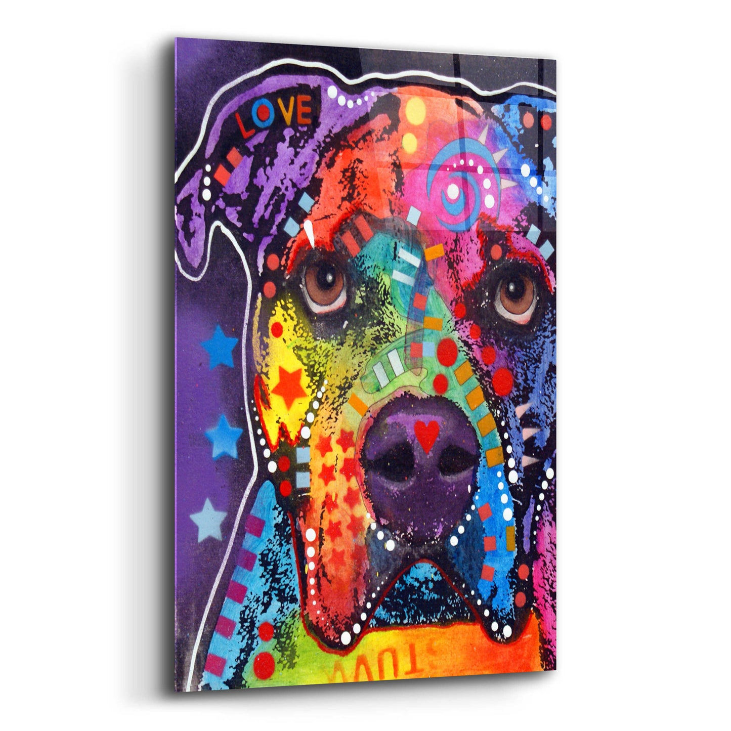 Epic Art 'American Bulldog 3' by Dean Russo, Acrylic Glass Wall Art,12x16