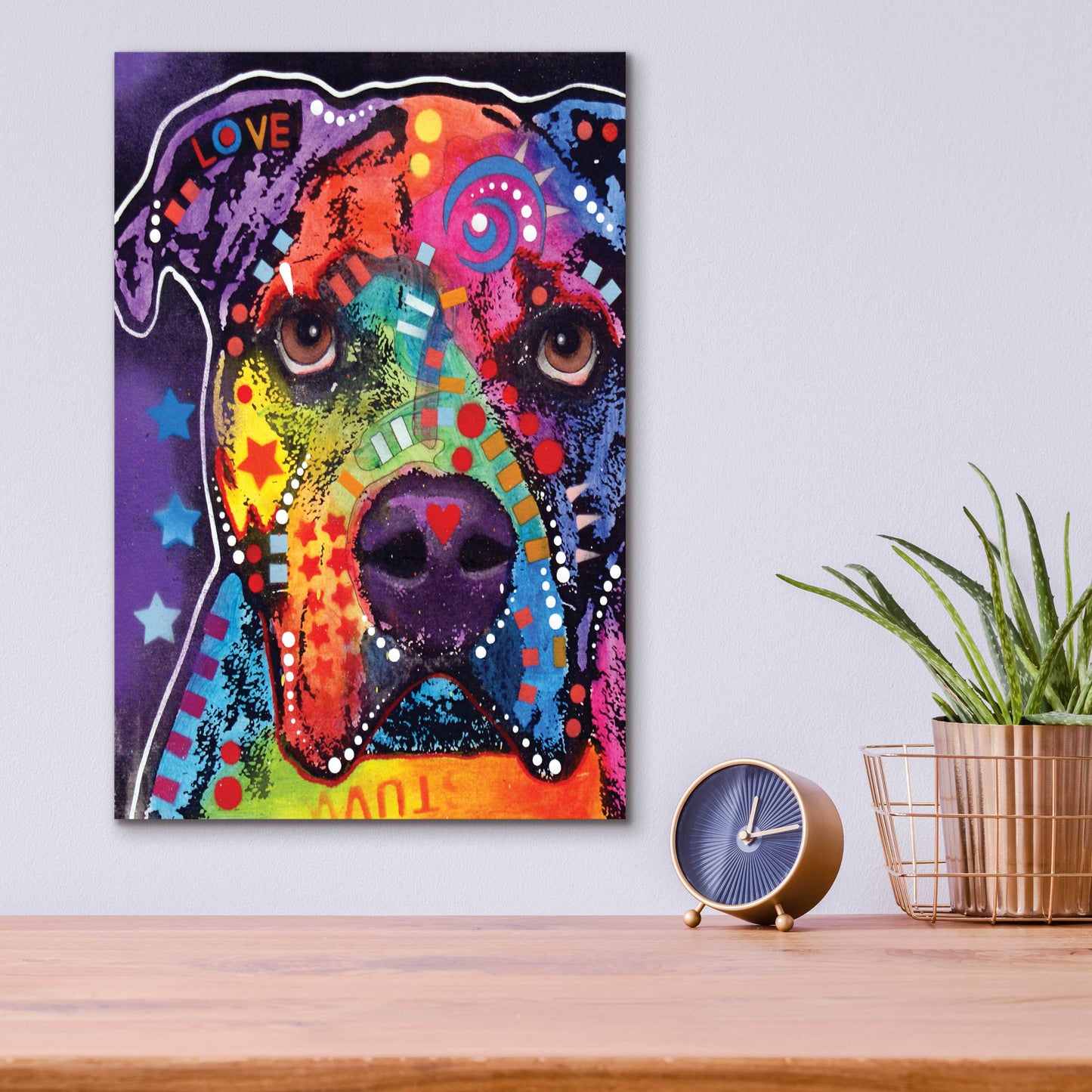 Epic Art 'American Bulldog 3' by Dean Russo, Acrylic Glass Wall Art,12x16