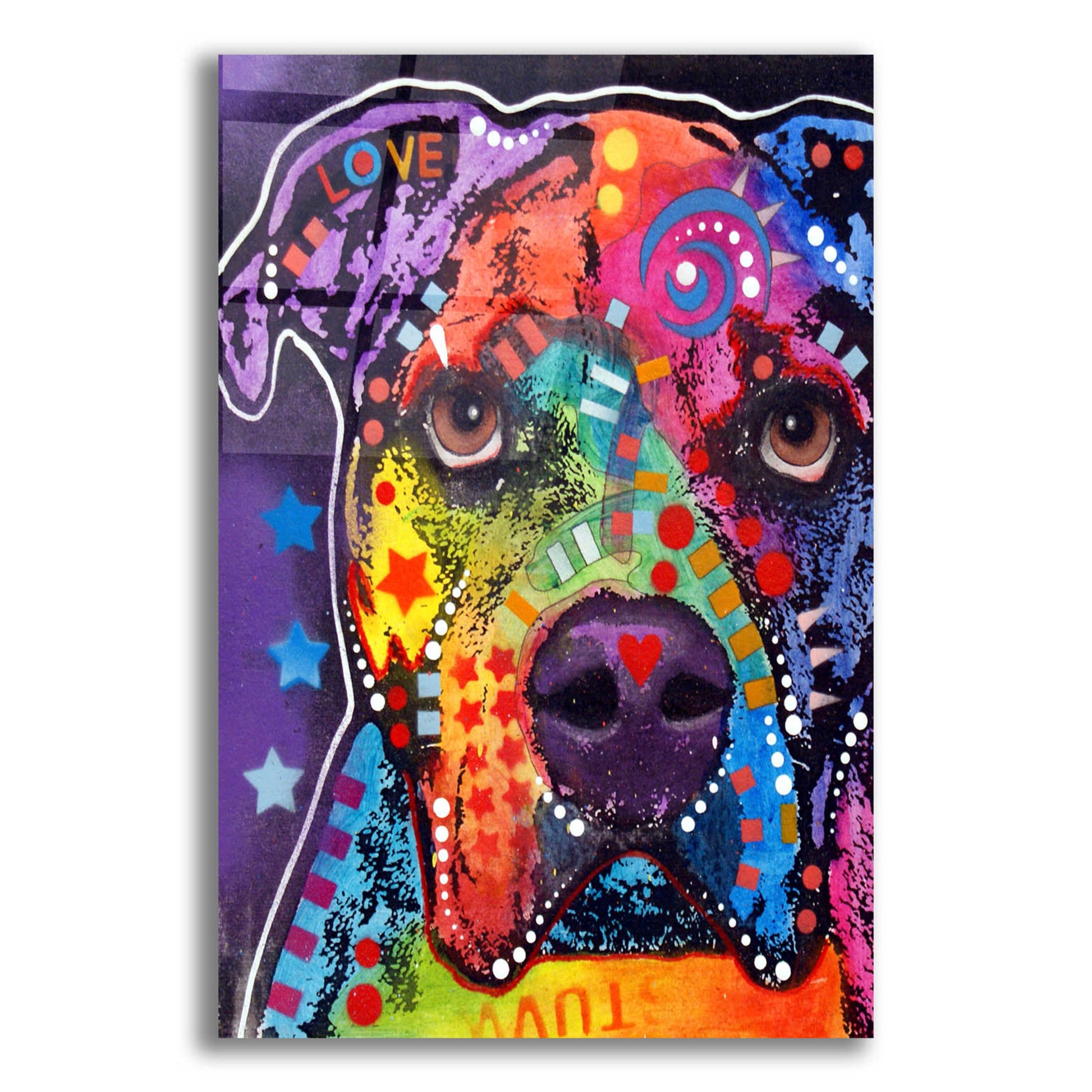 Epic Art 'American Bulldog 3' by Dean Russo, Acrylic Glass Wall Art,12x16