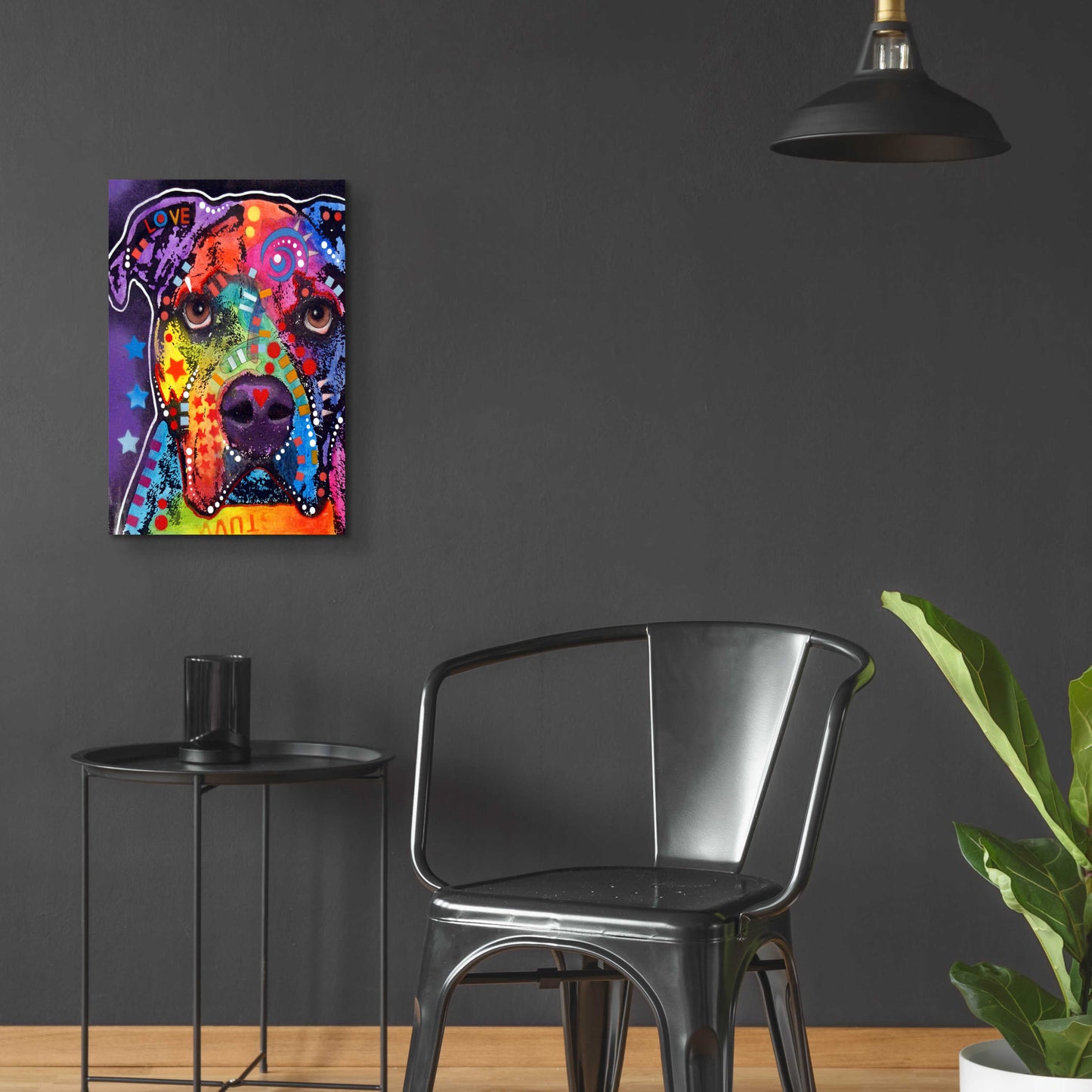 Epic Art 'American Bulldog 3' by Dean Russo, Acrylic Glass Wall Art,16x24