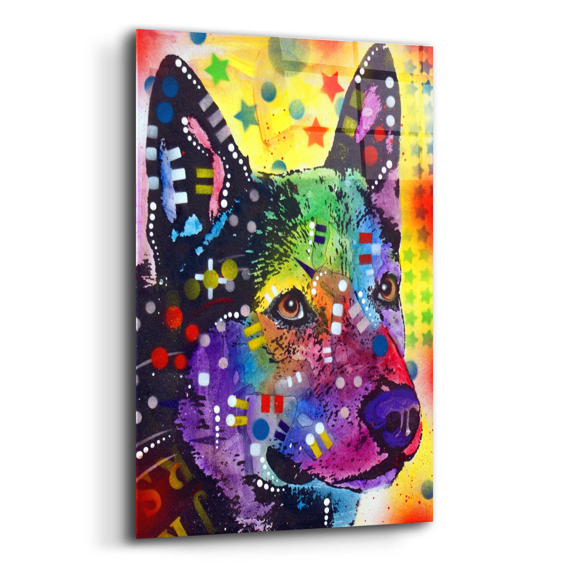 Epic Art 'Aus Cattle Dog' by Dean Russo, Acrylic Glass Wall Art,12x16