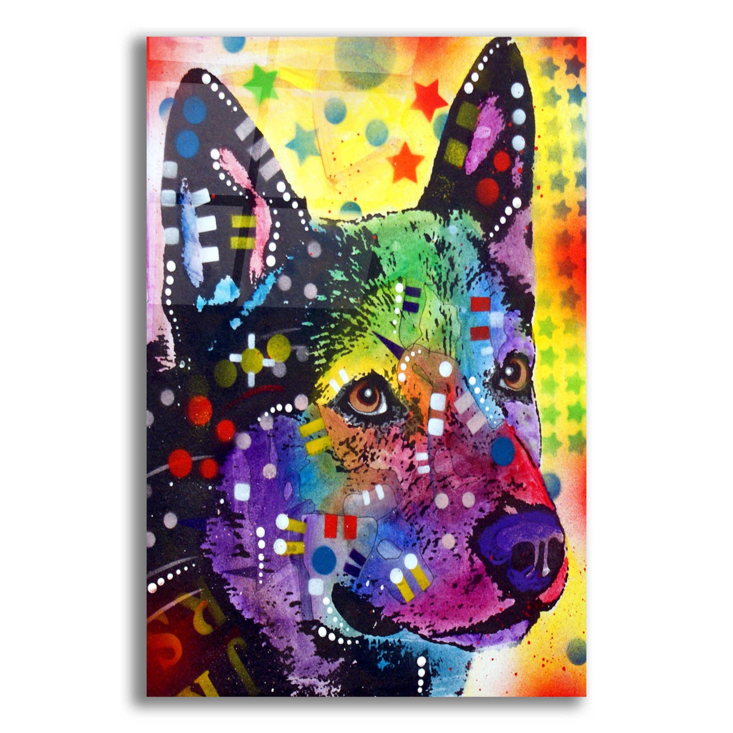 Epic Art 'Aus Cattle Dog' by Dean Russo, Acrylic Glass Wall Art,12x16