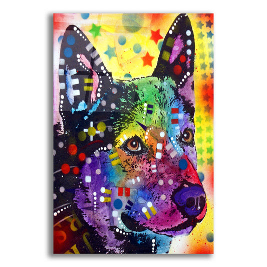 Epic Art 'Aus Cattle Dog' by Dean Russo, Acrylic Glass Wall Art