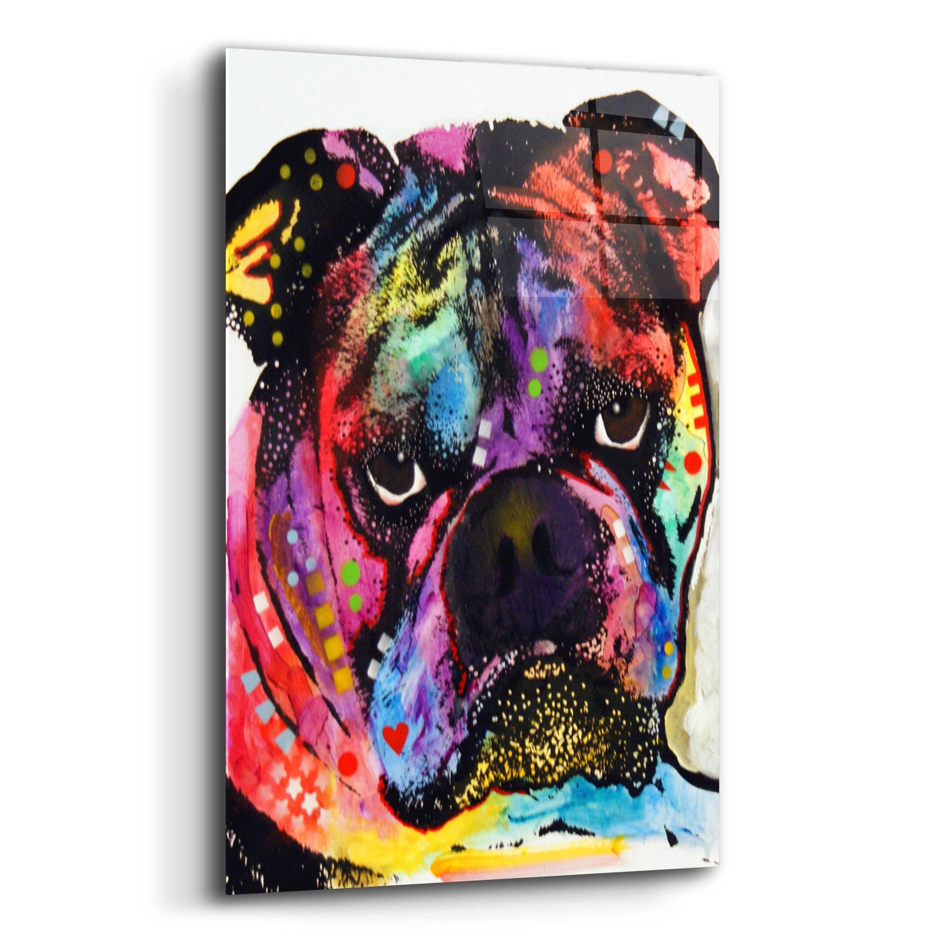 Epic Art 'Bulldog' by Dean Russo, Acrylic Glass Wall Art,12x16