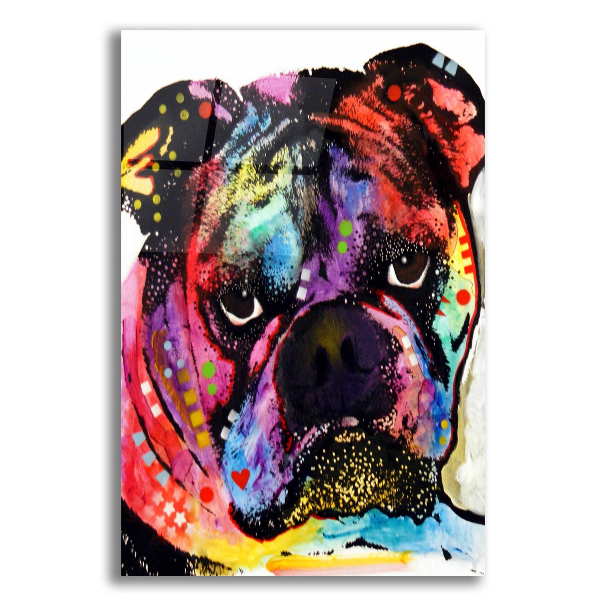 Epic Art 'Bulldog' by Dean Russo, Acrylic Glass Wall Art,12x16