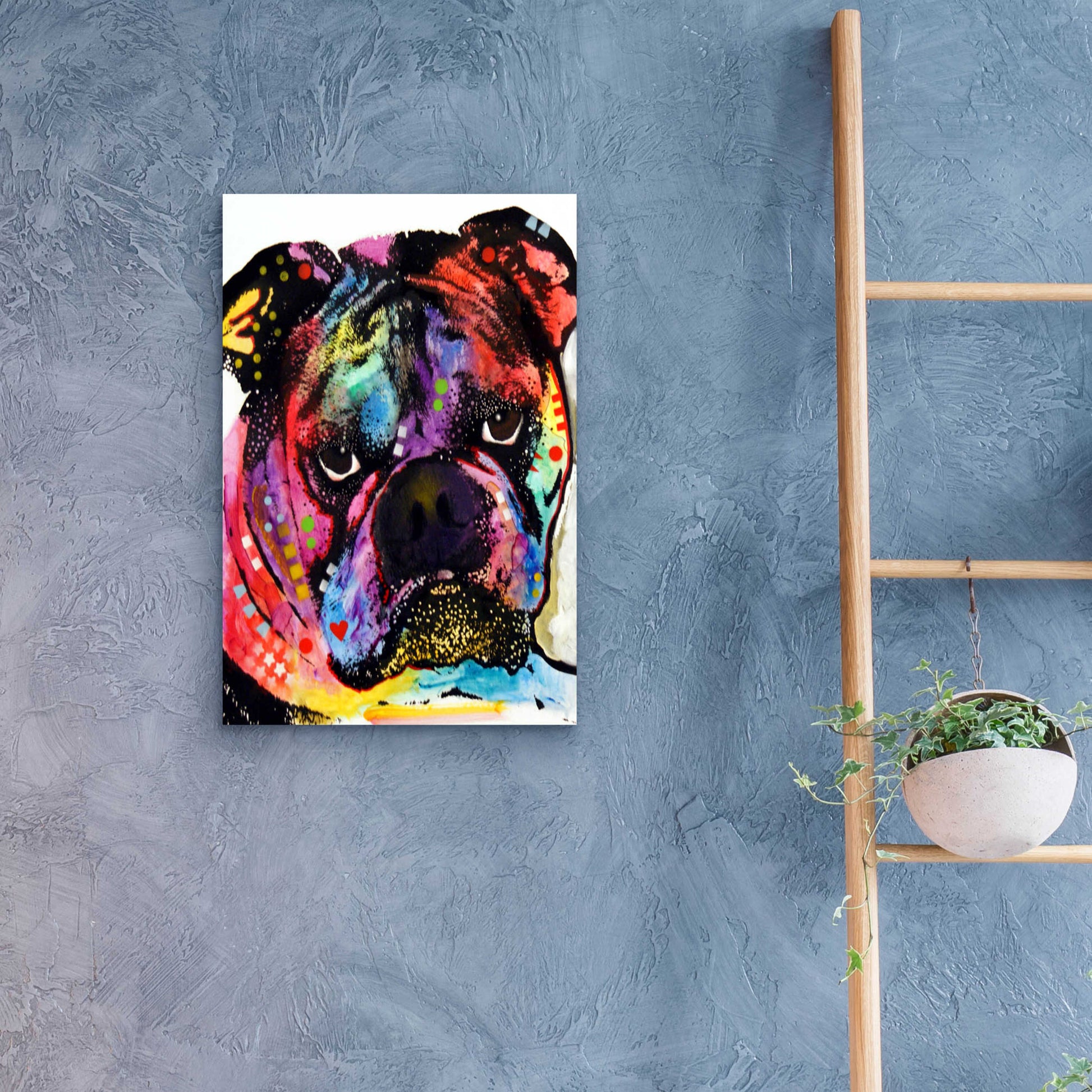 Epic Art 'Bulldog' by Dean Russo, Acrylic Glass Wall Art,16x24