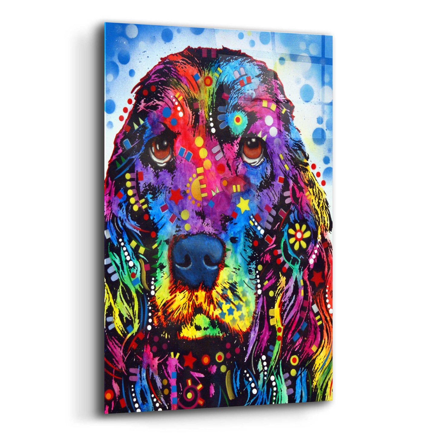 Epic Art 'Cocker Spaniel 2' by Dean Russo, Acrylic Glass Wall Art,12x16