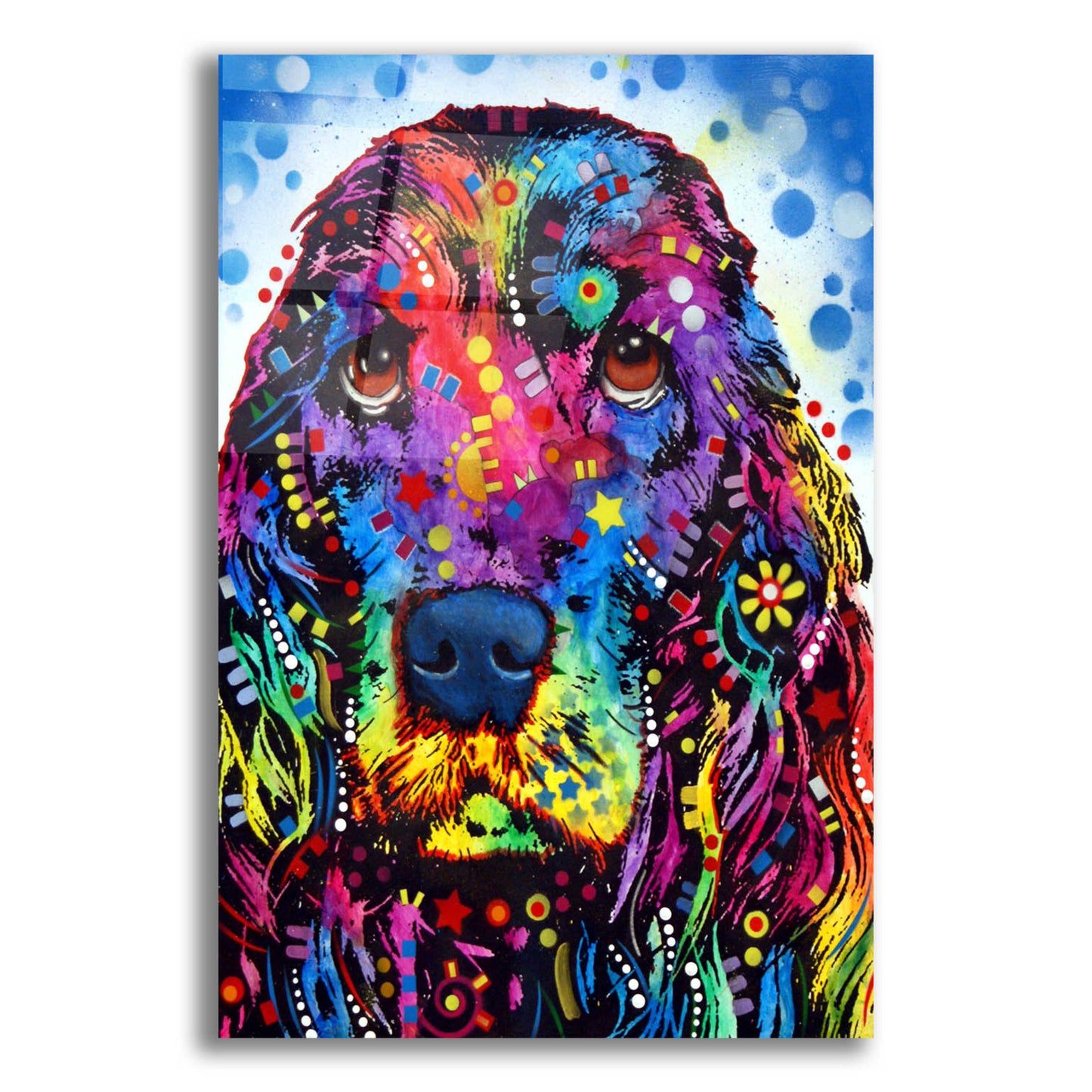 Epic Art 'Cocker Spaniel 2' by Dean Russo, Acrylic Glass Wall Art,12x16