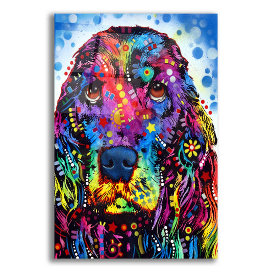 Epic Art 'Cocker Spaniel 2' by Dean Russo, Acrylic Glass Wall Art