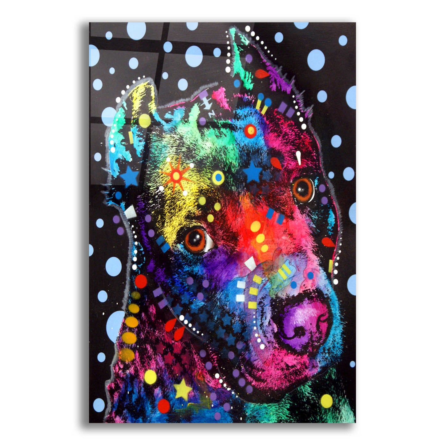 Epic Art 'Companion Pit' by Dean Russo, Acrylic Glass Wall Art,12x16