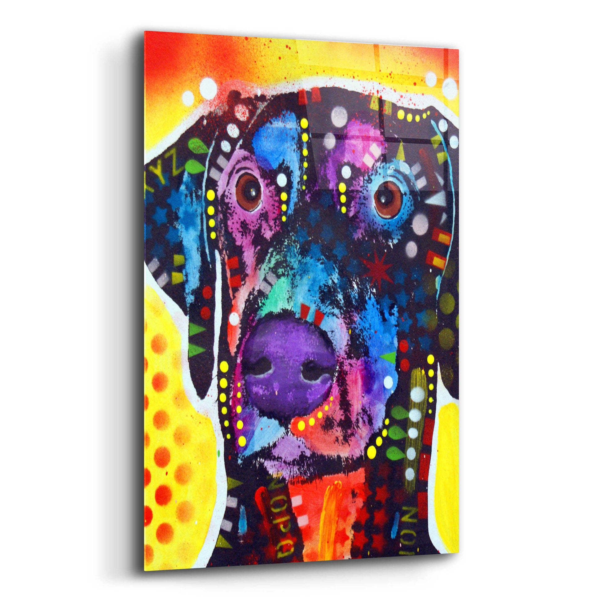 Epic Art 'Dobie' by Dean Russo, Acrylic Glass Wall Art,12x16