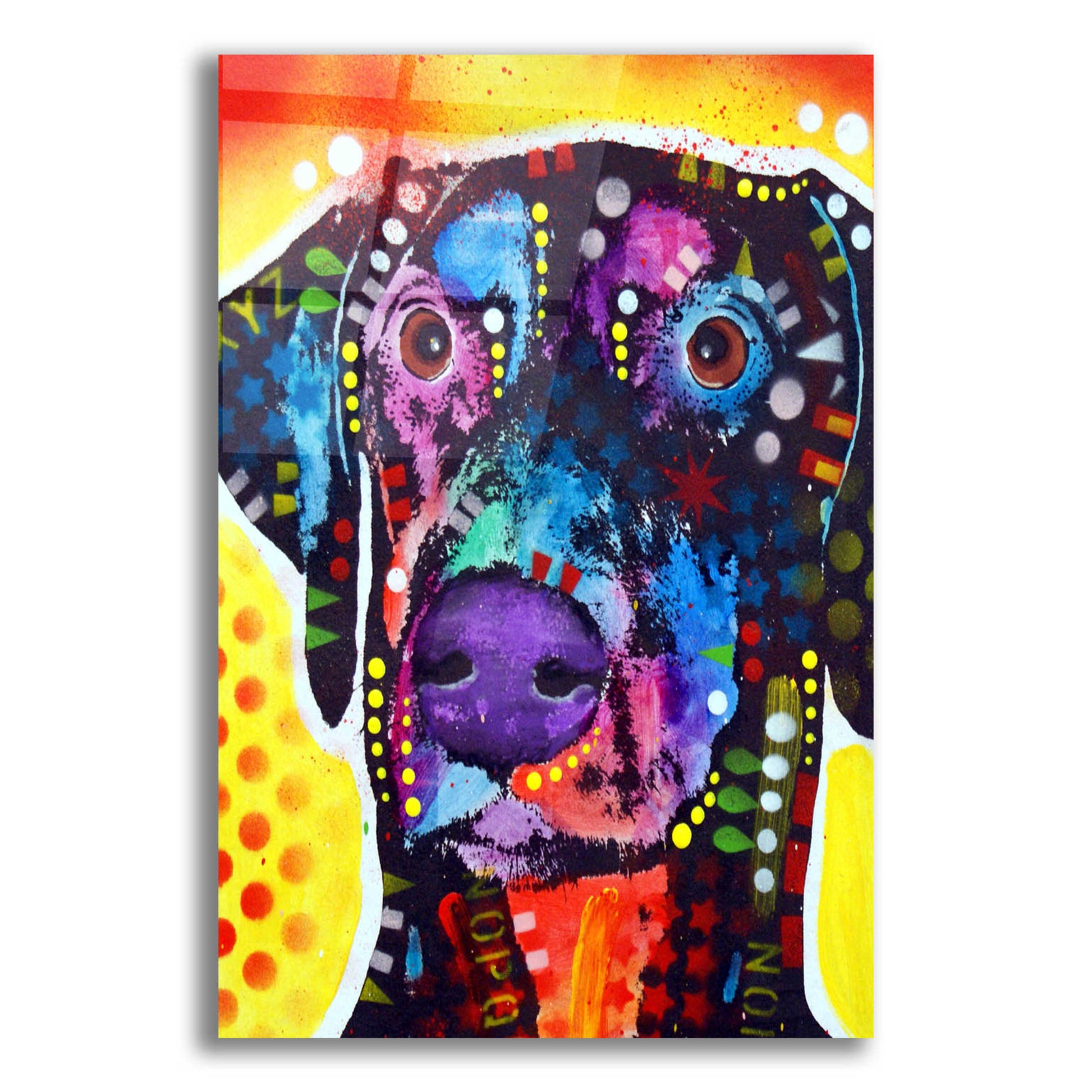 Epic Art 'Dobie' by Dean Russo, Acrylic Glass Wall Art,12x16