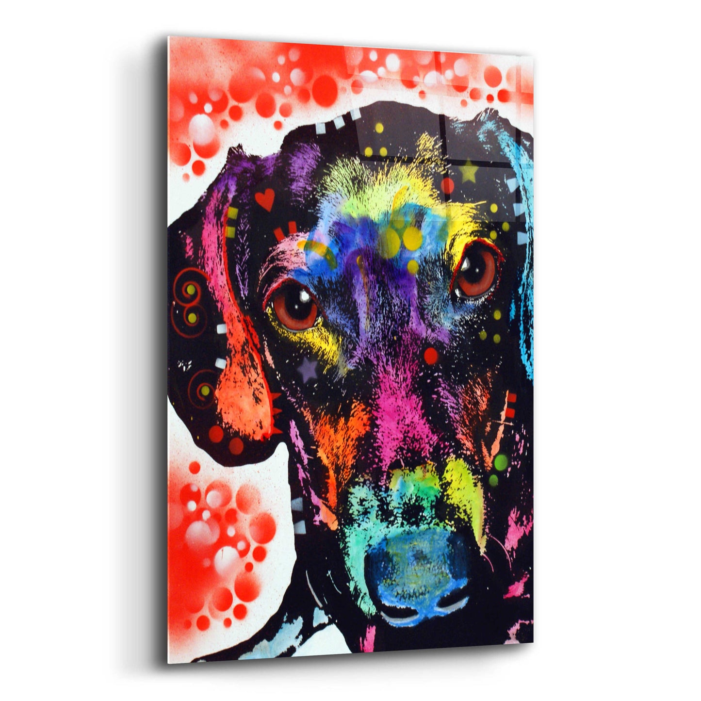 Epic Art 'Dox' by Dean Russo, Acrylic Glass Wall Art,12x16