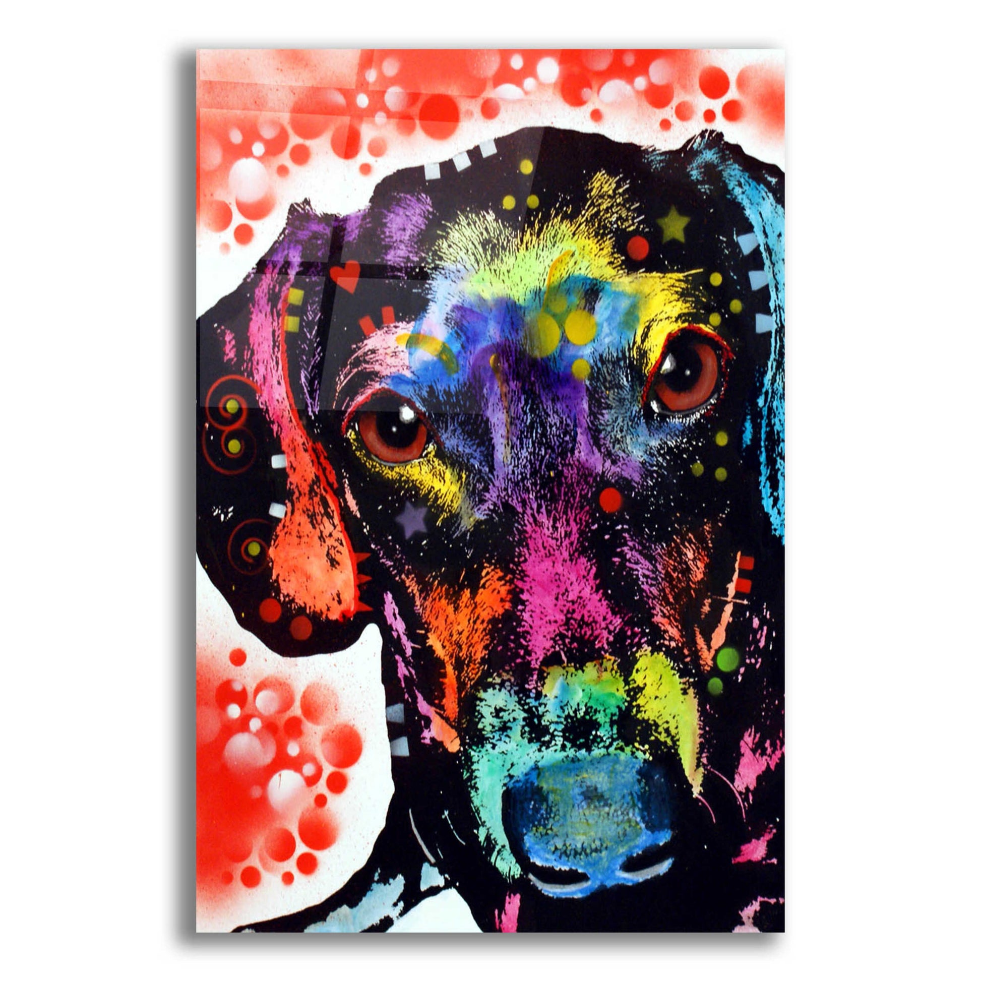 Epic Art 'Dox' by Dean Russo, Acrylic Glass Wall Art,12x16