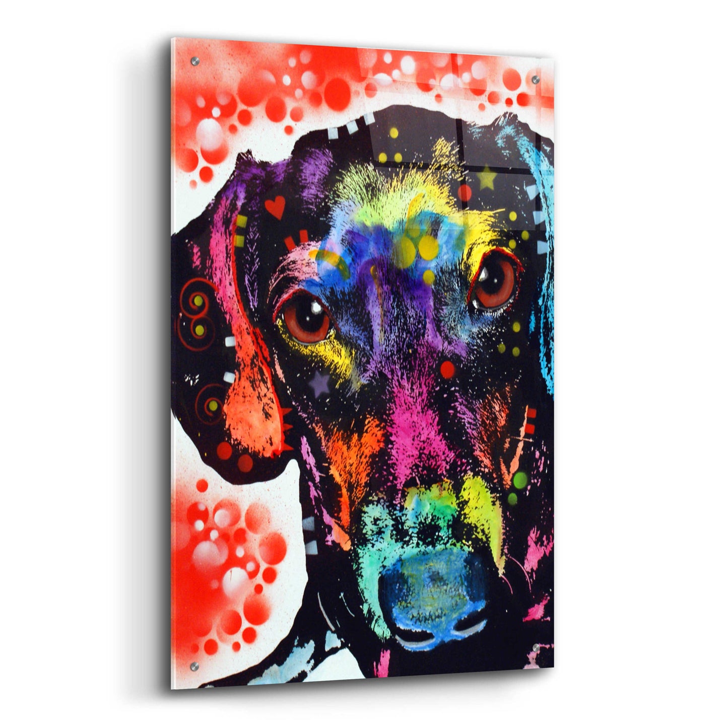 Epic Art 'Dox' by Dean Russo, Acrylic Glass Wall Art,24x36