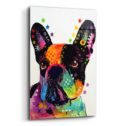 Epic Art 'French Bulldog' by Dean Russo, Acrylic Glass Wall Art,12x16