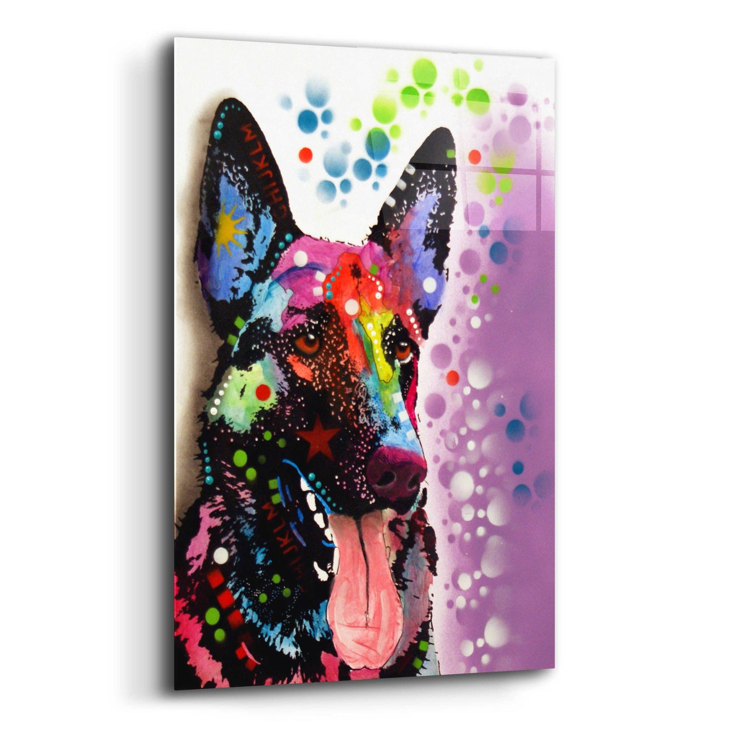 Epic Art 'German Shepherd 2' by Dean Russo, Acrylic Glass Wall Art,12x16