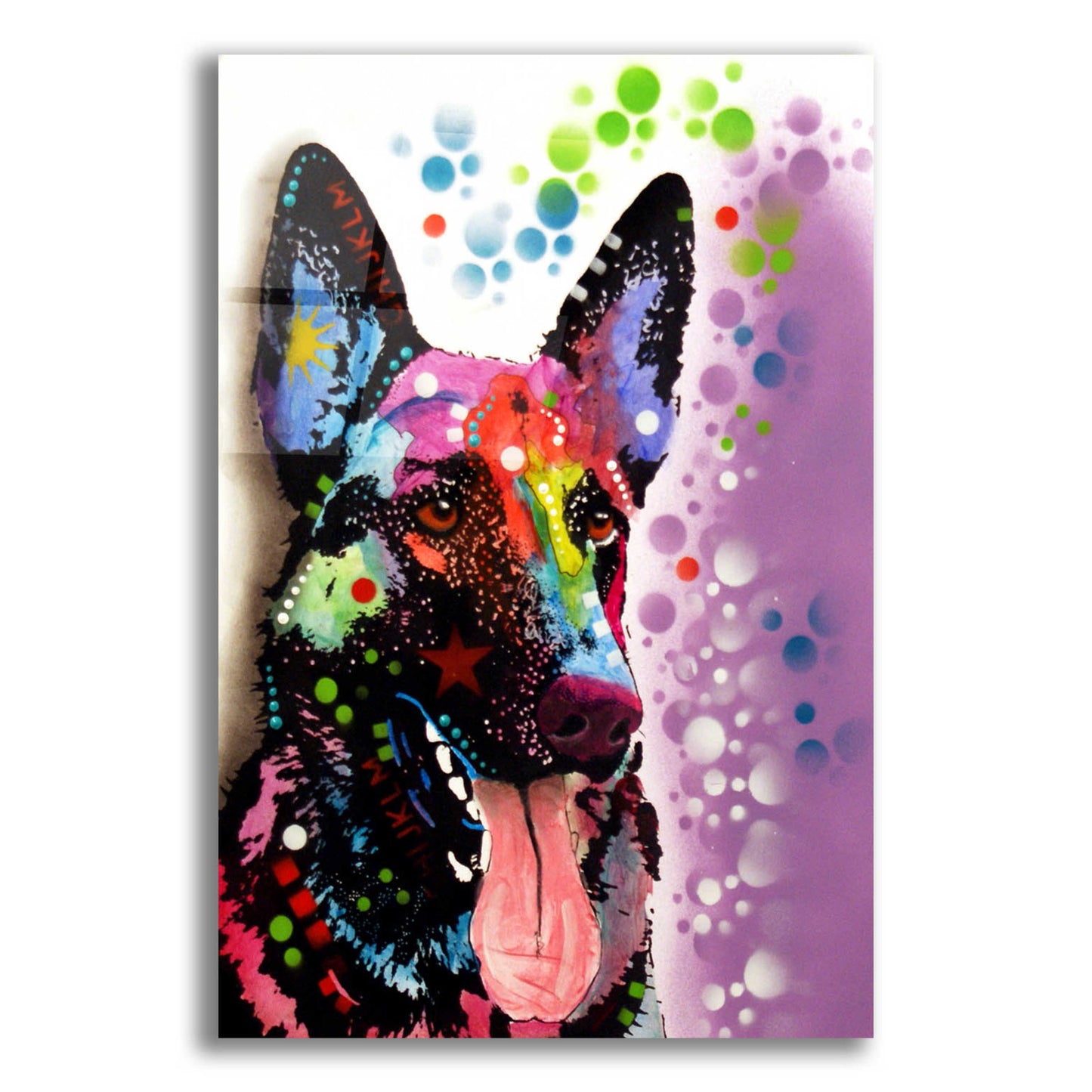 Epic Art 'German Shepherd 2' by Dean Russo, Acrylic Glass Wall Art,12x16