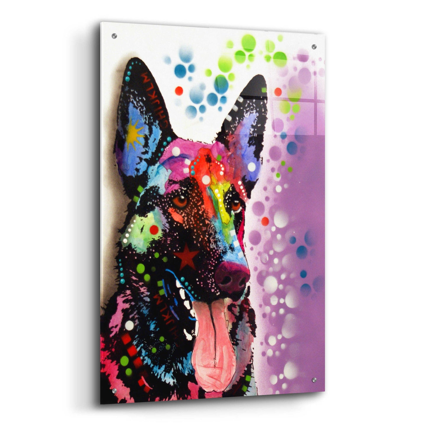 Epic Art 'German Shepherd 2' by Dean Russo, Acrylic Glass Wall Art,24x36