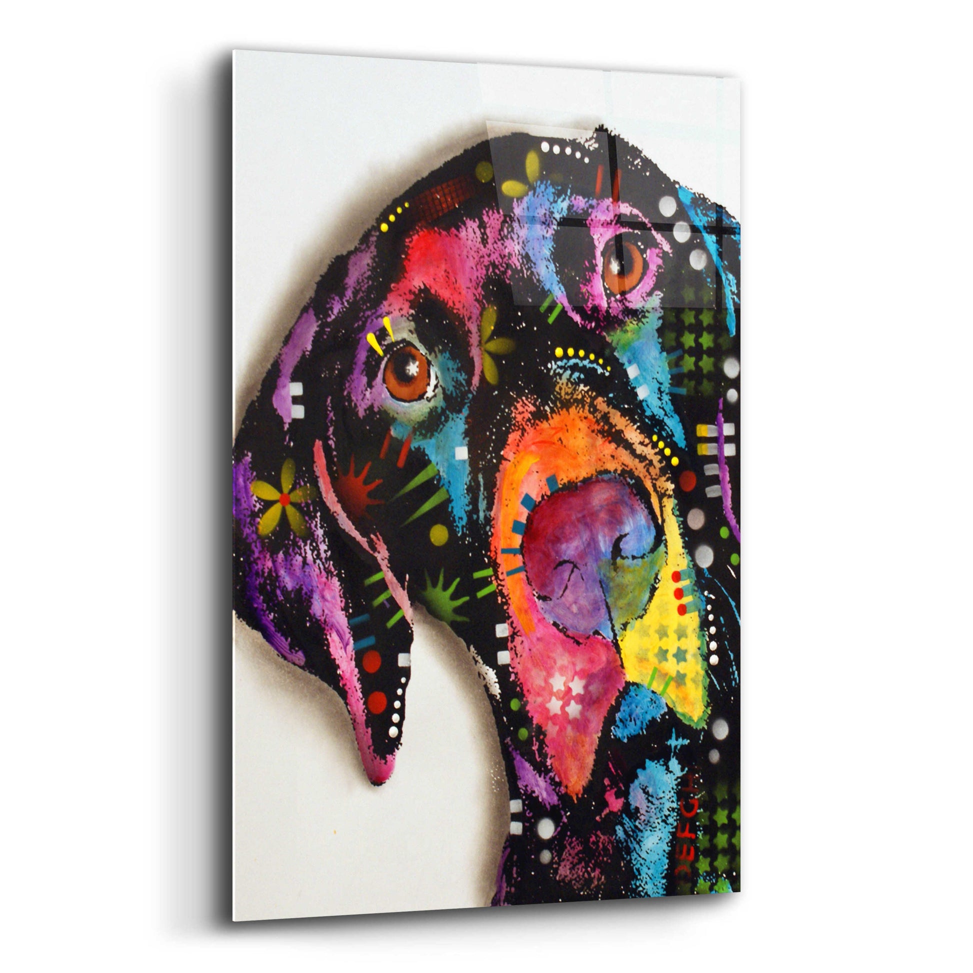 Epic Art 'Pointer' by Dean Russo, Acrylic Glass Wall Art,12x16