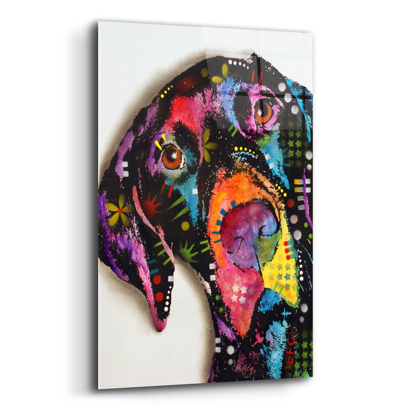 Epic Art 'Pointer' by Dean Russo, Acrylic Glass Wall Art,16x24