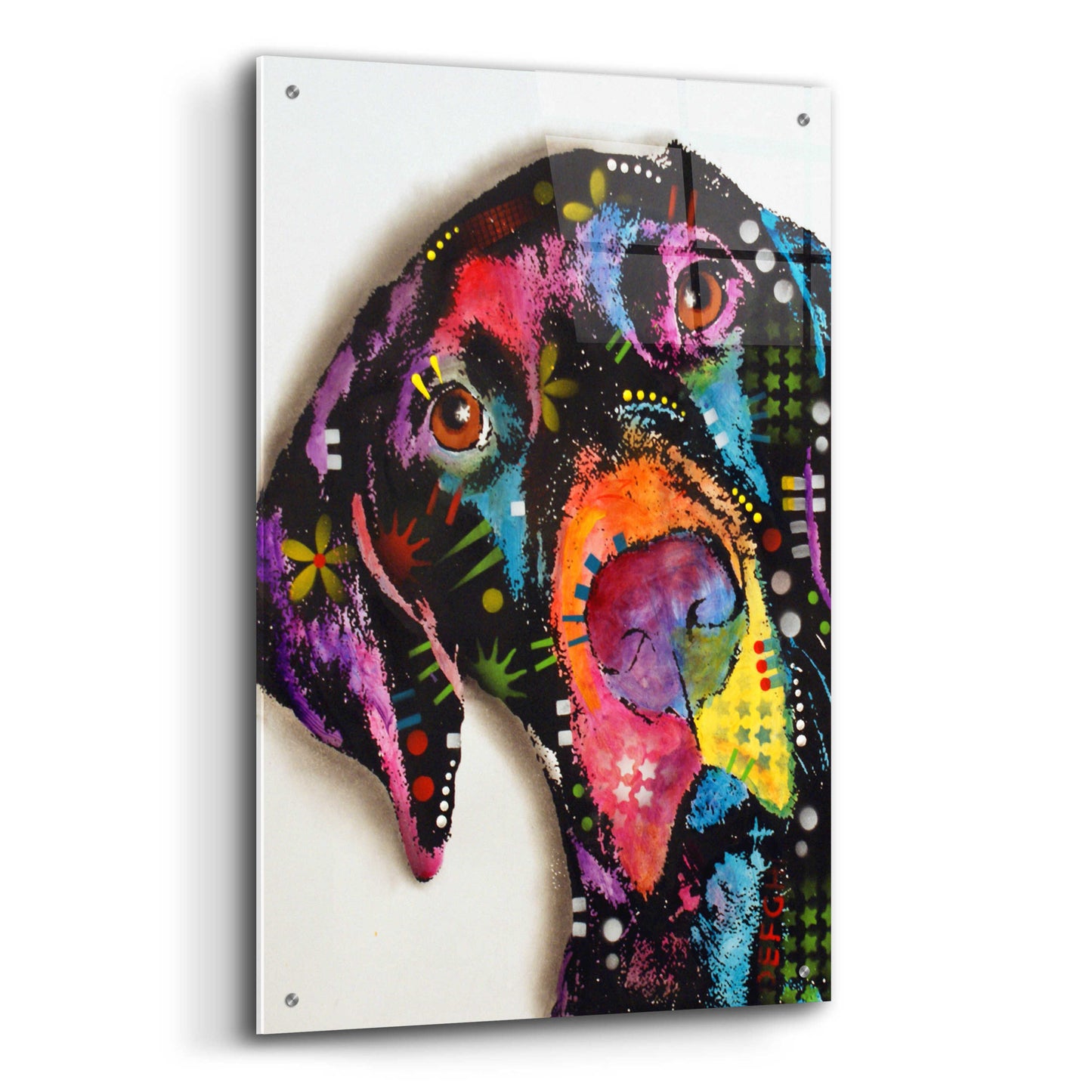 Epic Art 'Pointer' by Dean Russo, Acrylic Glass Wall Art,24x36