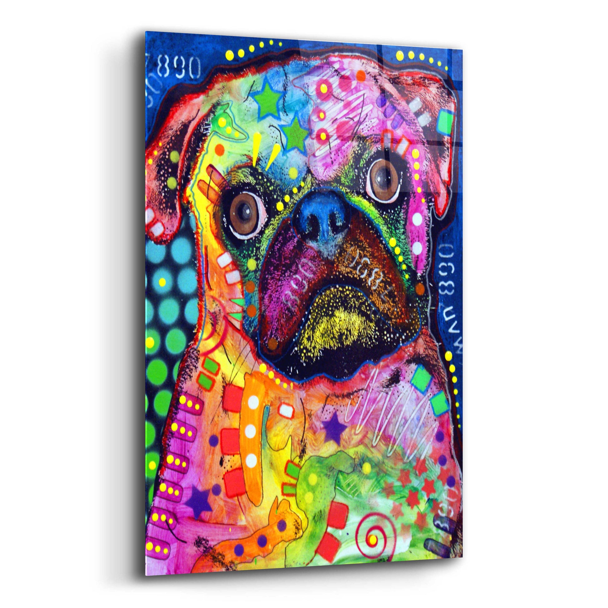 Epic Art 'Pug 2' by Dean Russo, Acrylic Glass Wall Art,12x16