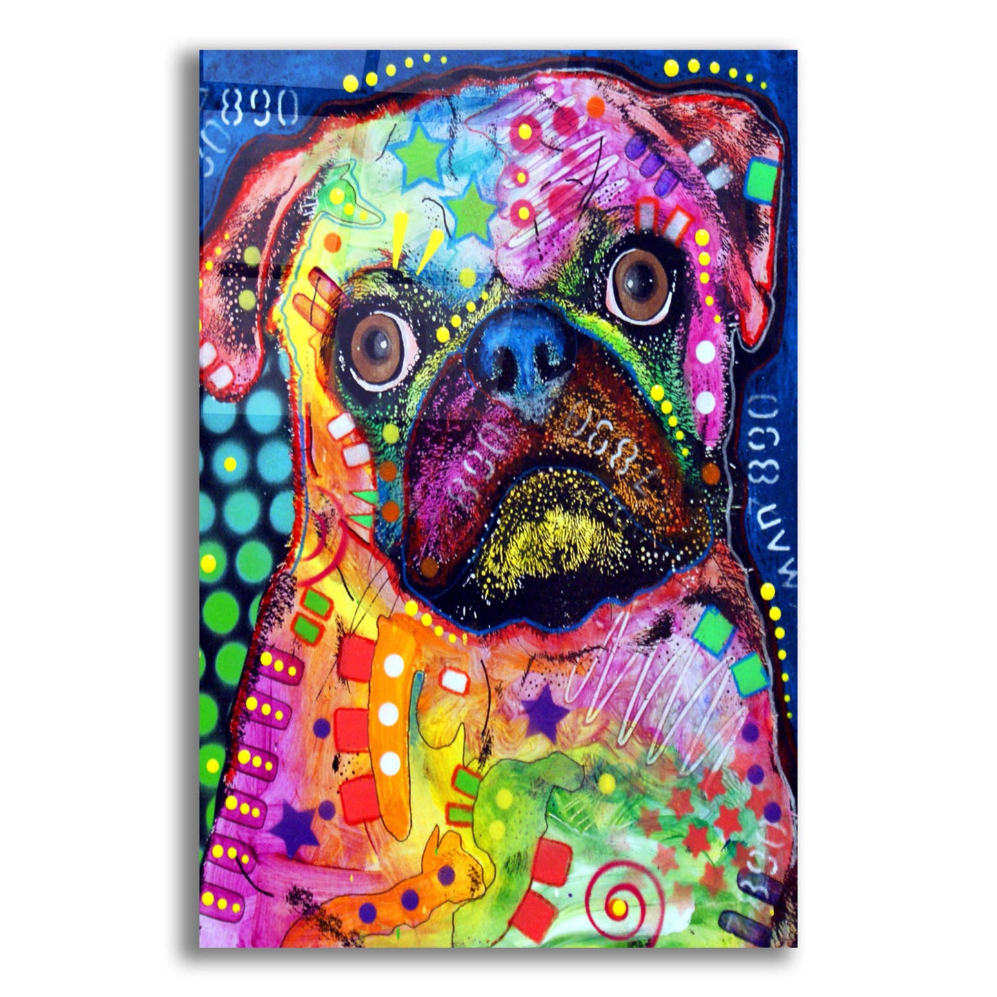 Epic Art 'Pug 2' by Dean Russo, Acrylic Glass Wall Art,12x16