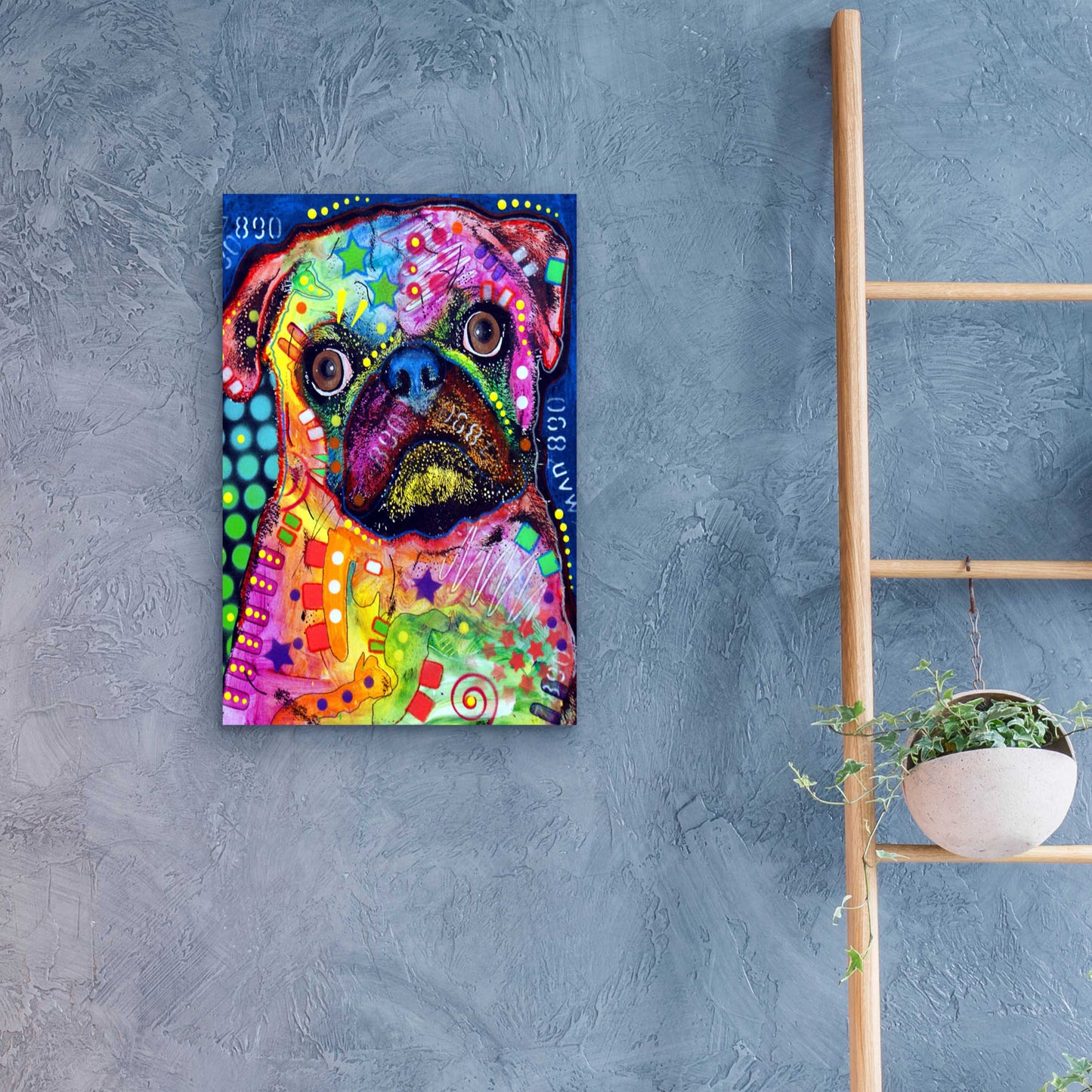 Epic Art 'Pug 2' by Dean Russo, Acrylic Glass Wall Art,16x24