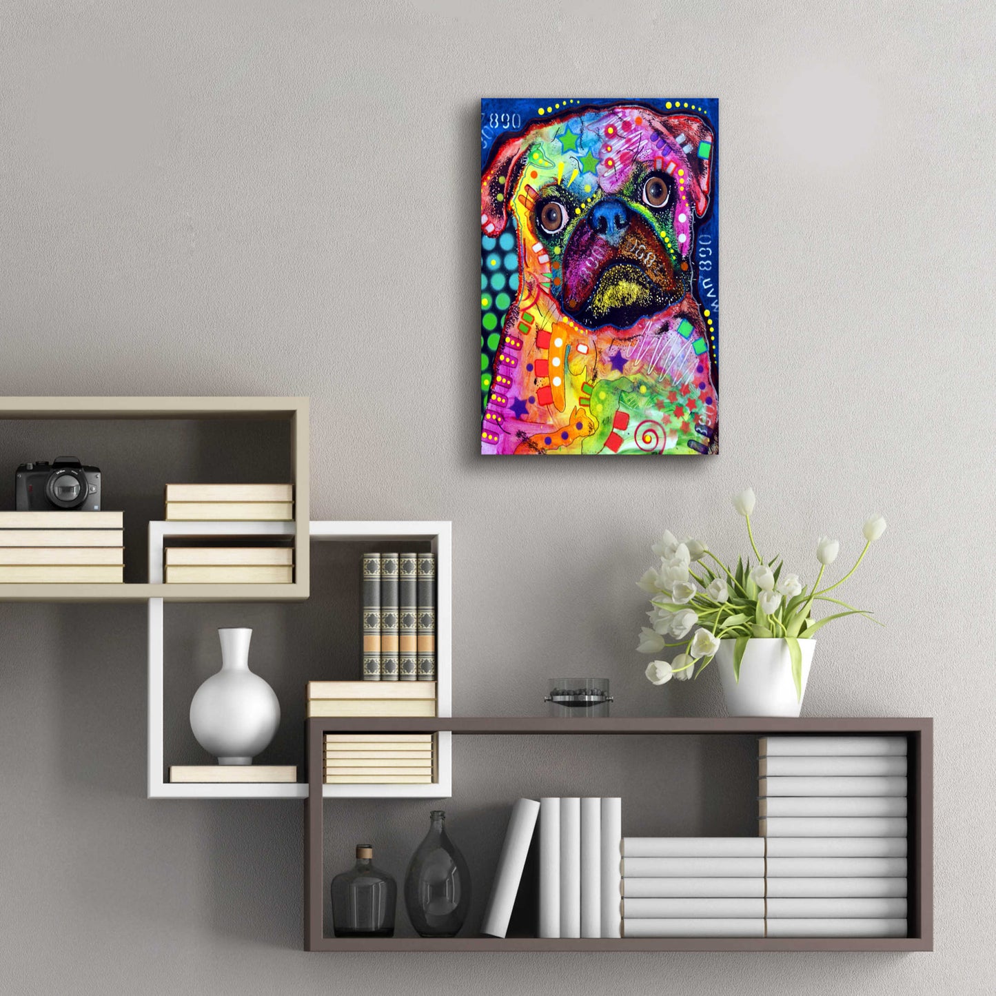 Epic Art 'Pug 2' by Dean Russo, Acrylic Glass Wall Art,16x24