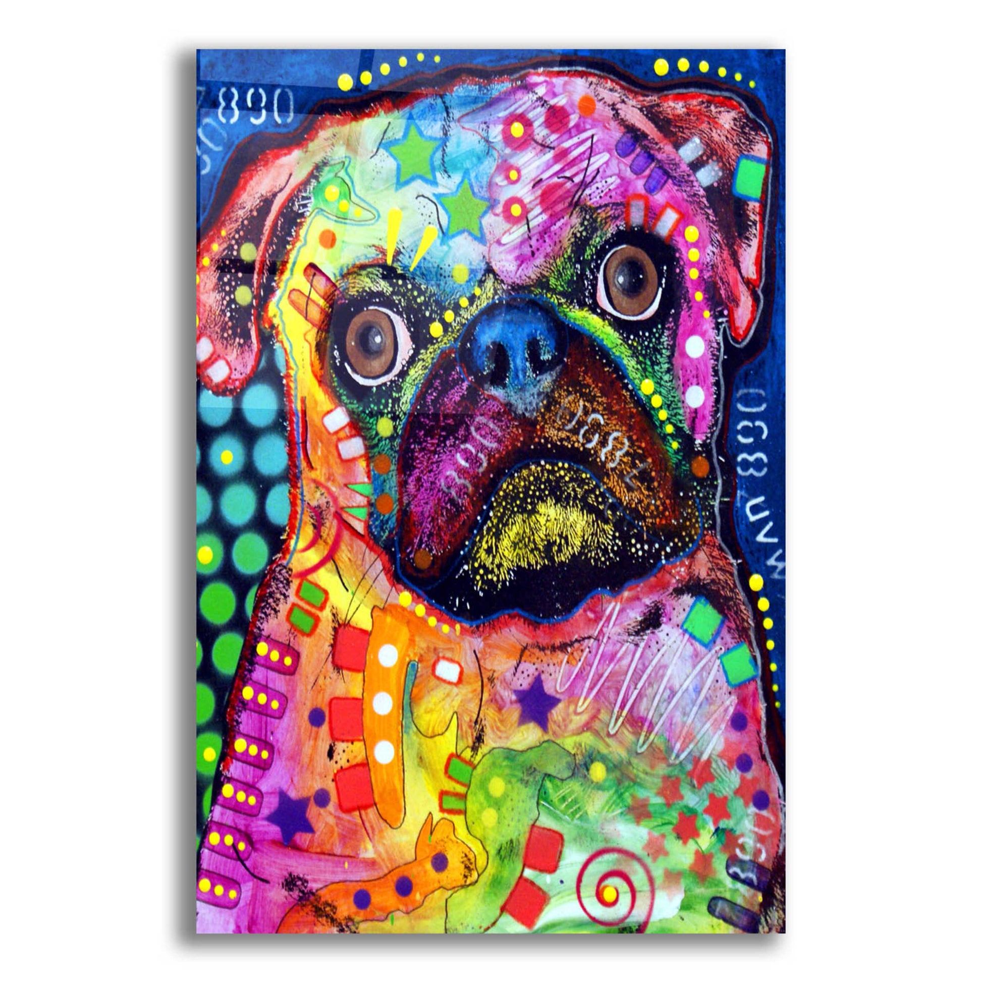 Epic Art 'Pug 2' by Dean Russo, Acrylic Glass Wall Art,16x24