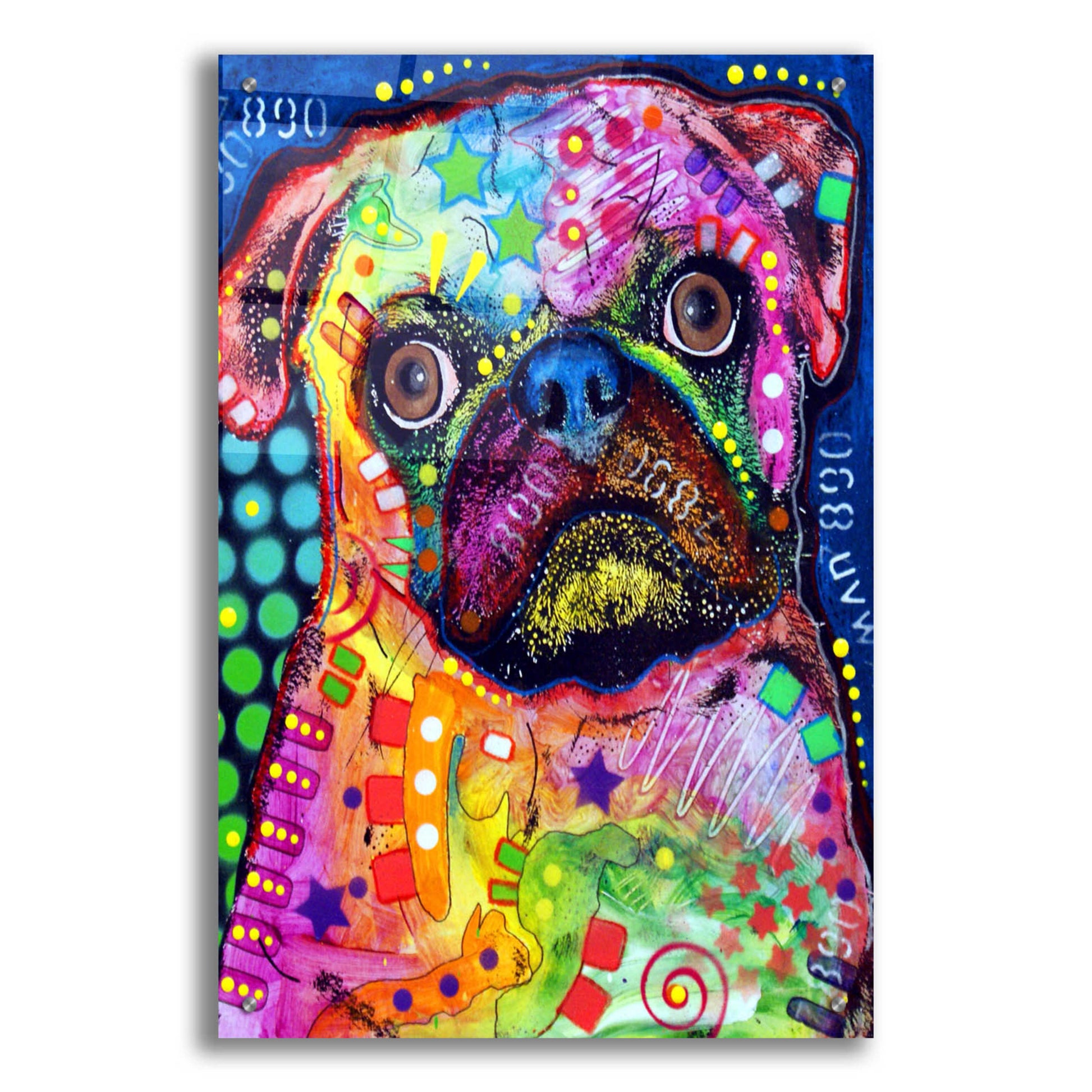 Epic Art 'Pug 2' by Dean Russo, Acrylic Glass Wall Art,24x36