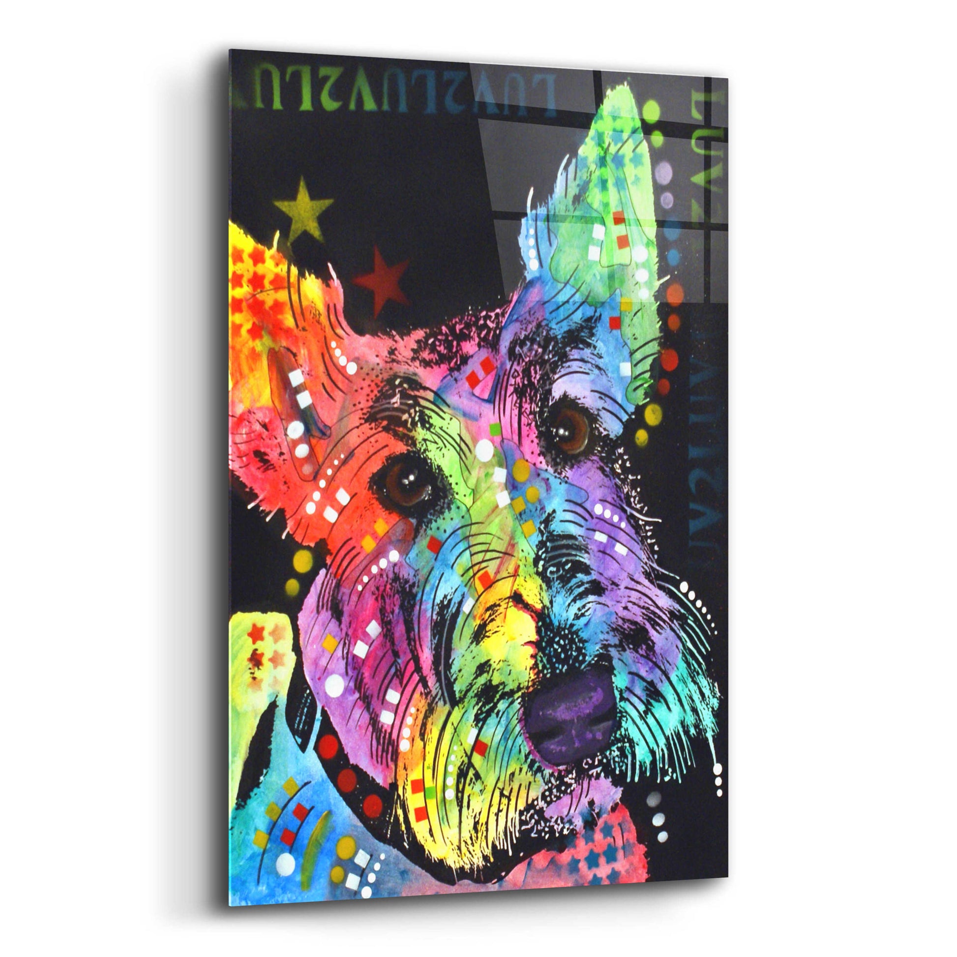 Epic Art 'Scottish Terrier' by Dean Russo, Acrylic Glass Wall Art,12x16