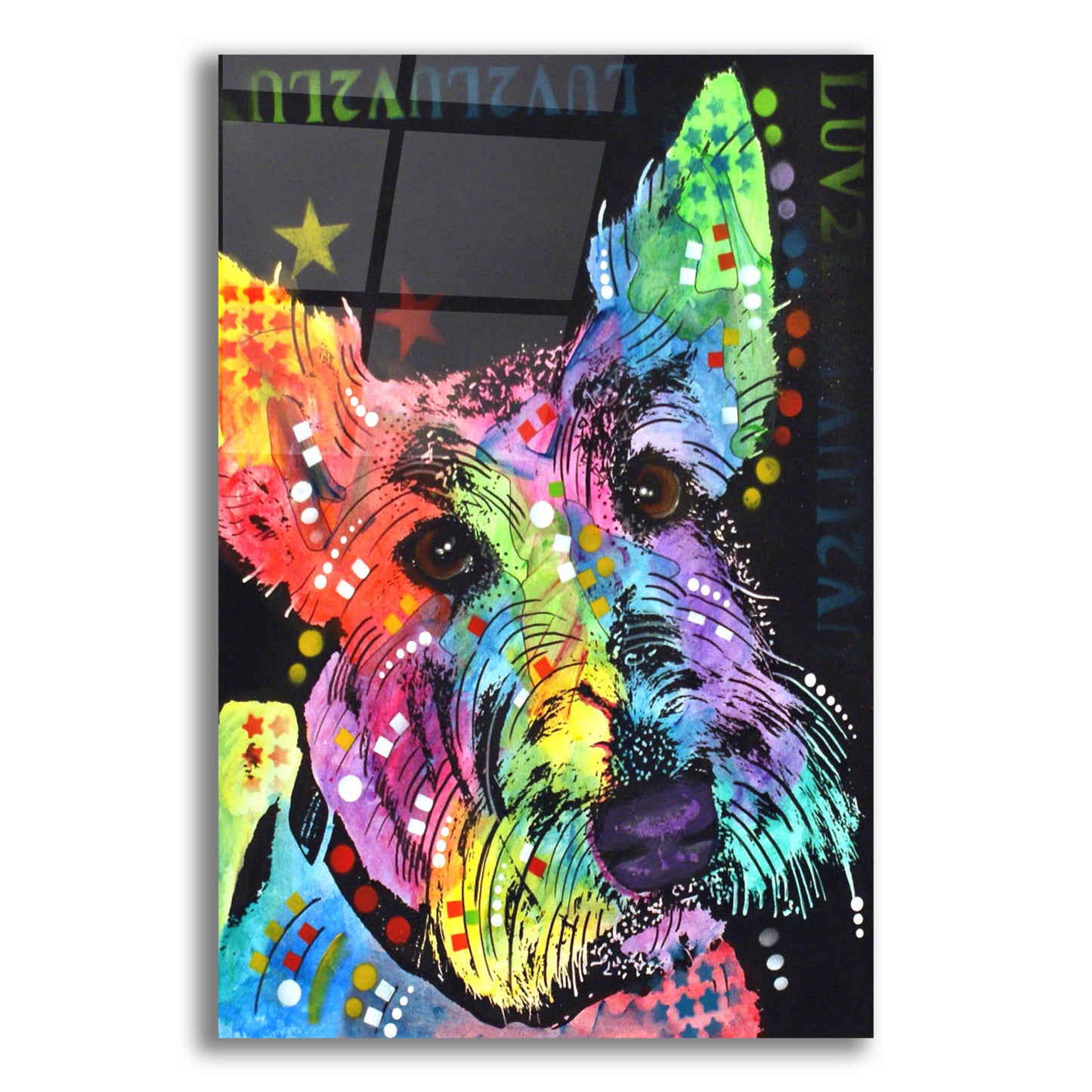 Epic Art 'Scottish Terrier' by Dean Russo, Acrylic Glass Wall Art,12x16