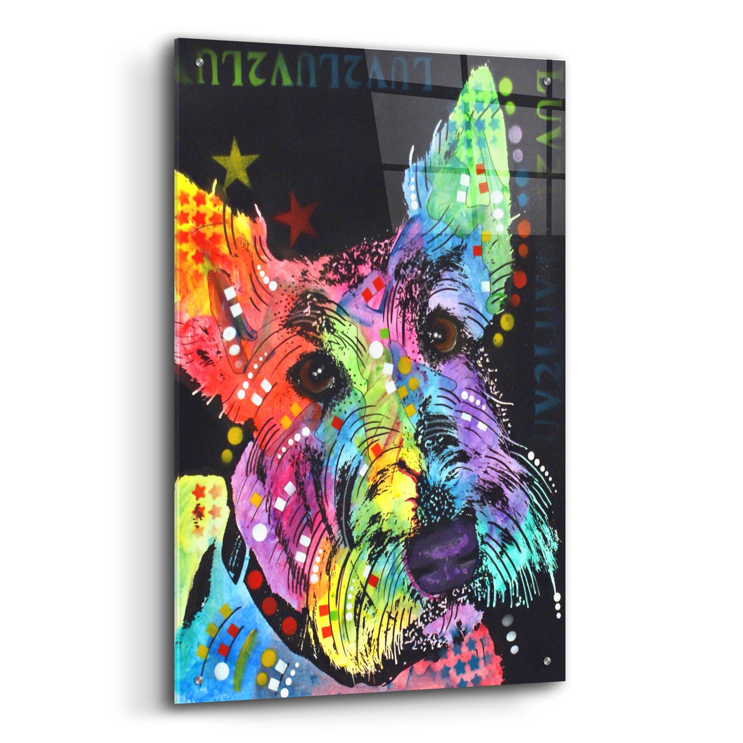 Epic Art 'Scottish Terrier' by Dean Russo, Acrylic Glass Wall Art,24x36