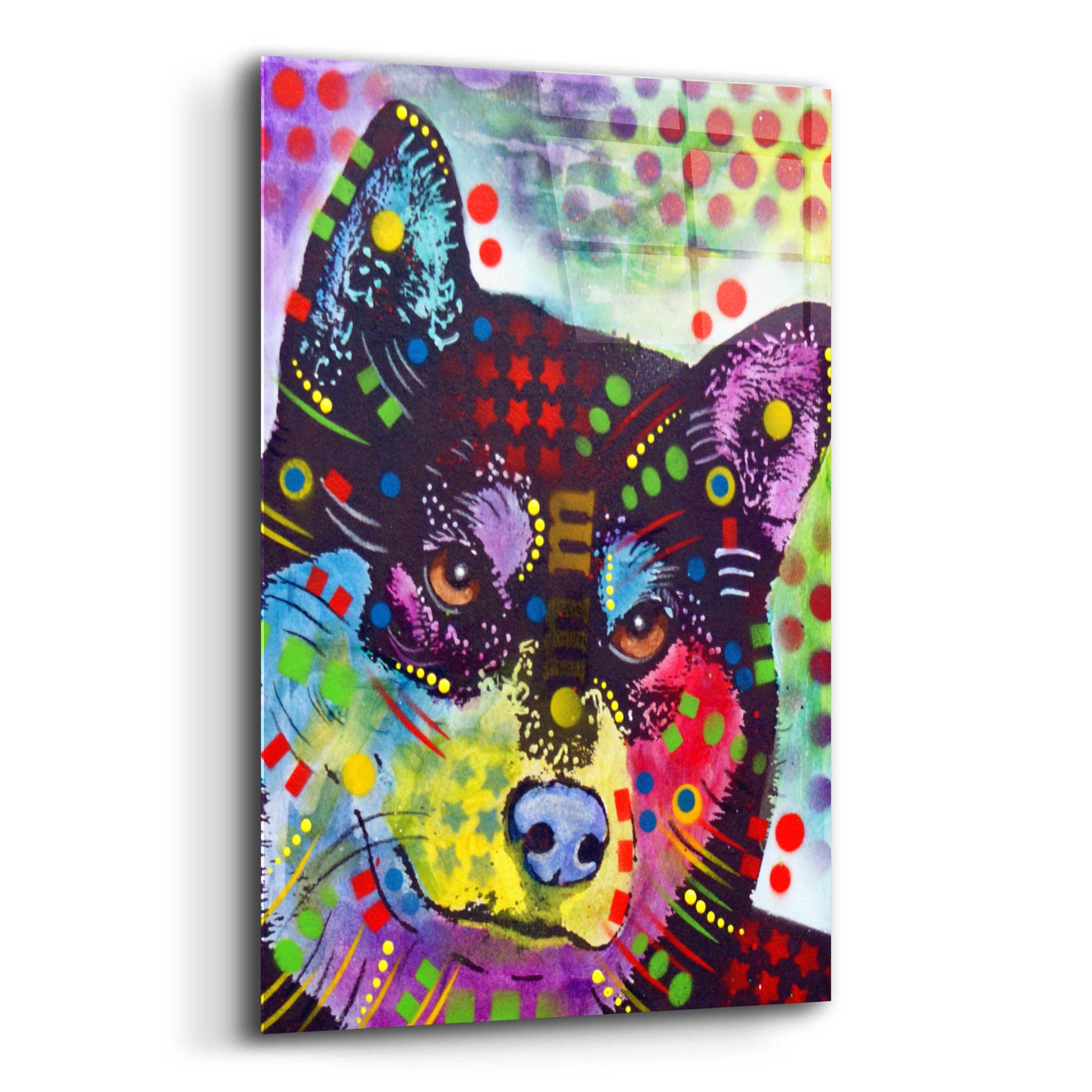 Epic Art 'Shiba Inu' by Dean Russo, Acrylic Glass Wall Art,12x16