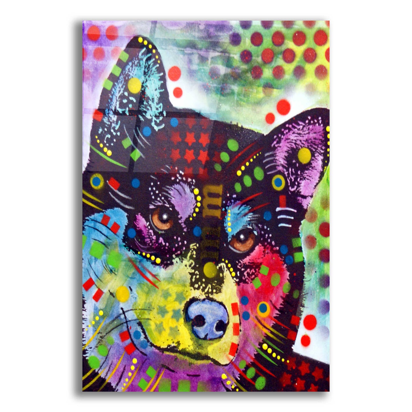 Epic Art 'Shiba Inu' by Dean Russo, Acrylic Glass Wall Art,12x16