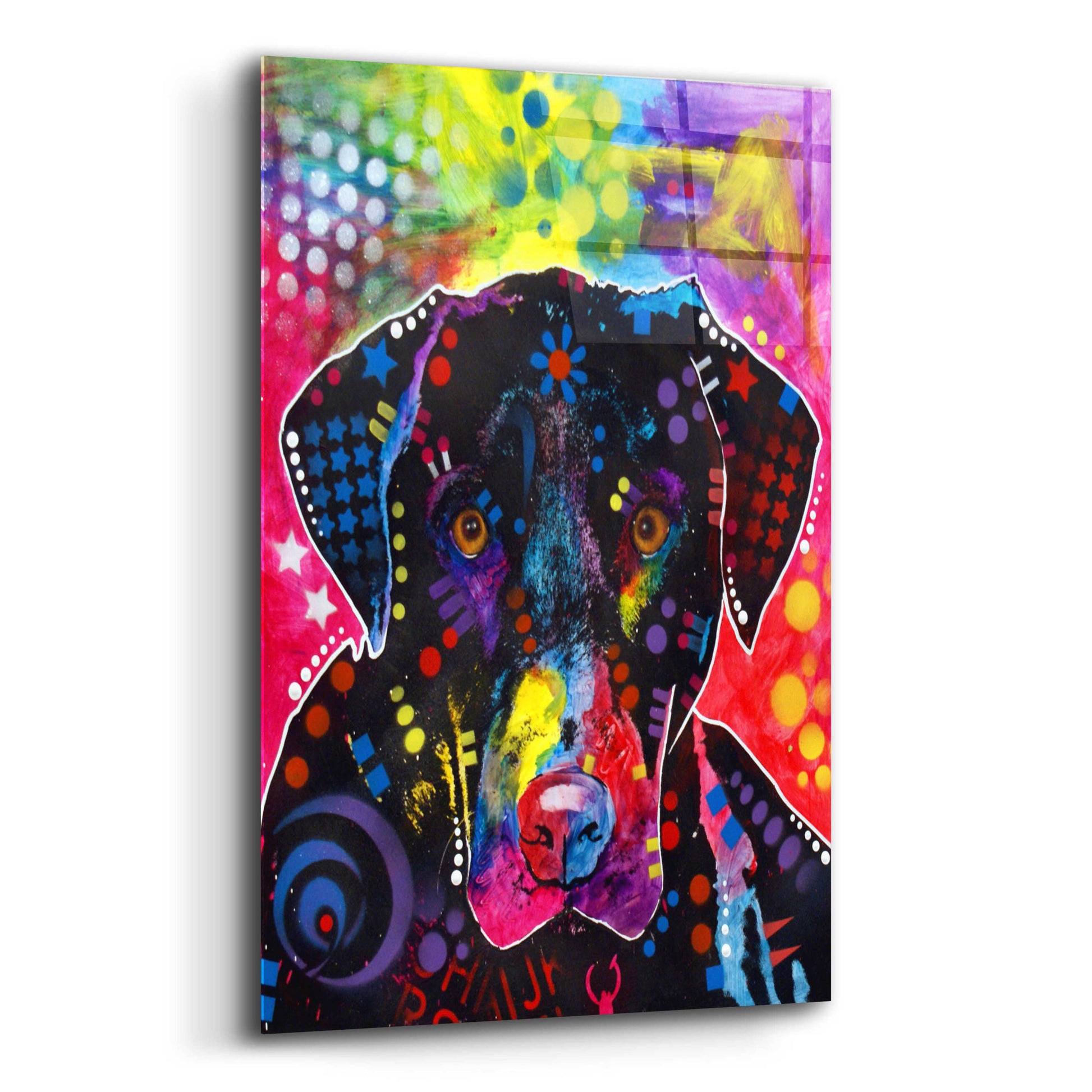 Epic Art 'The Labrador' by Dean Russo, Acrylic Glass Wall Art,12x16