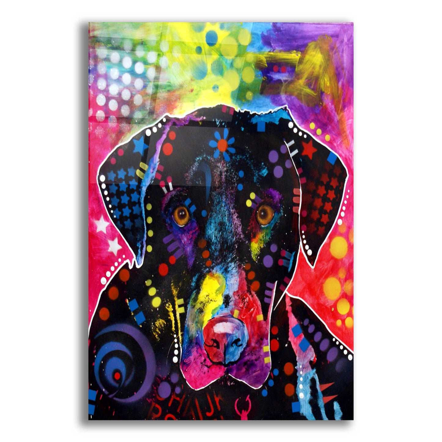 Epic Art 'The Labrador' by Dean Russo, Acrylic Glass Wall Art,12x16