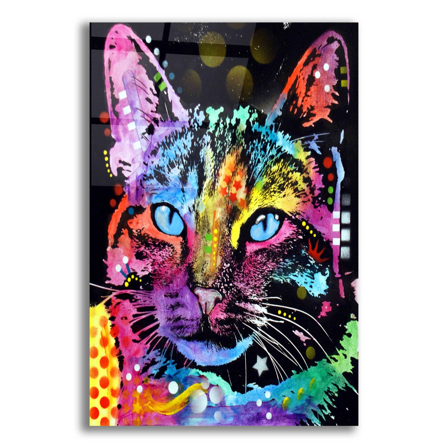 Epic Art 'Thoughtful Cat' by Dean Russo, Acrylic Glass Wall Art,12x16