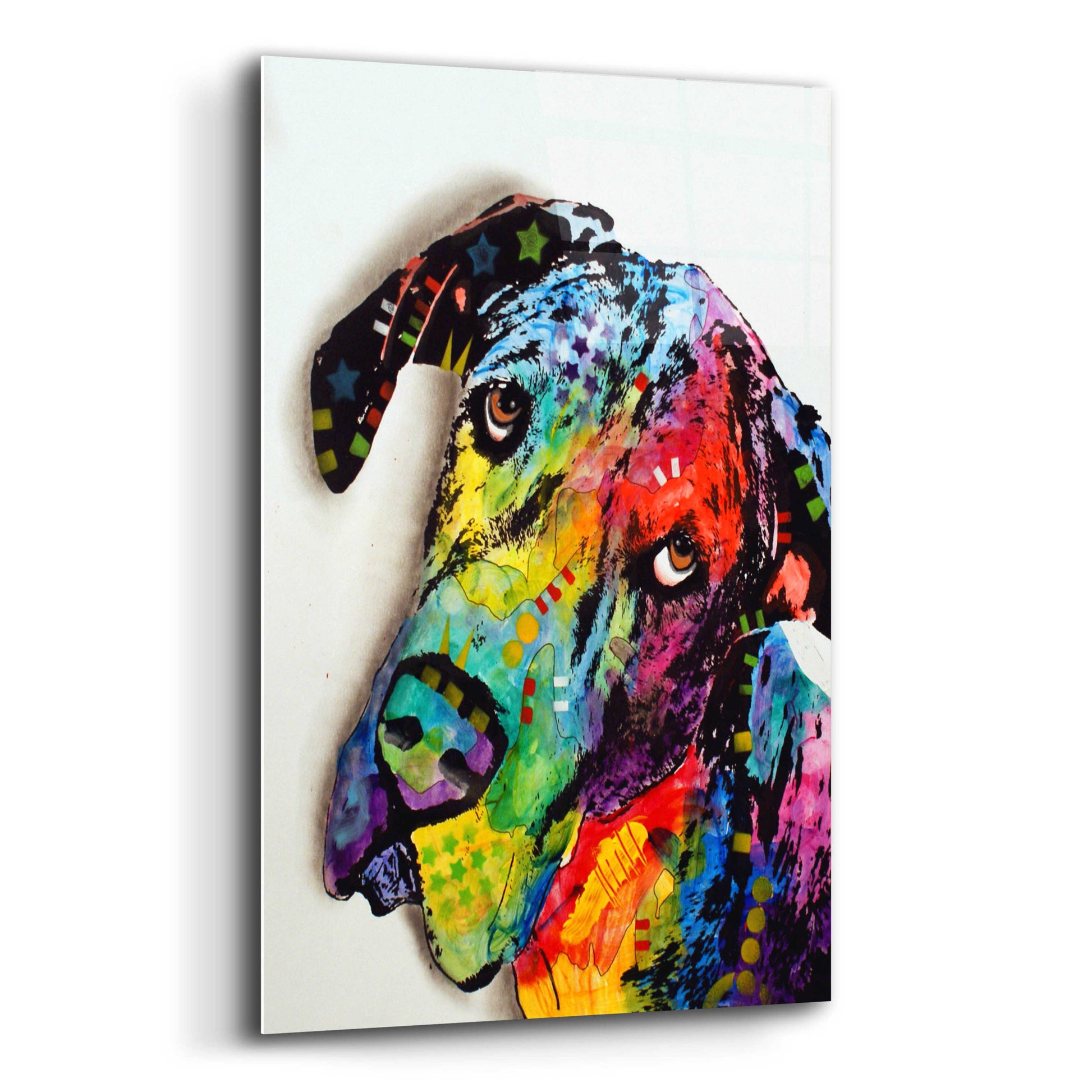 Epic Art 'Tilted Dane' by Dean Russo, Acrylic Glass Wall Art,12x16