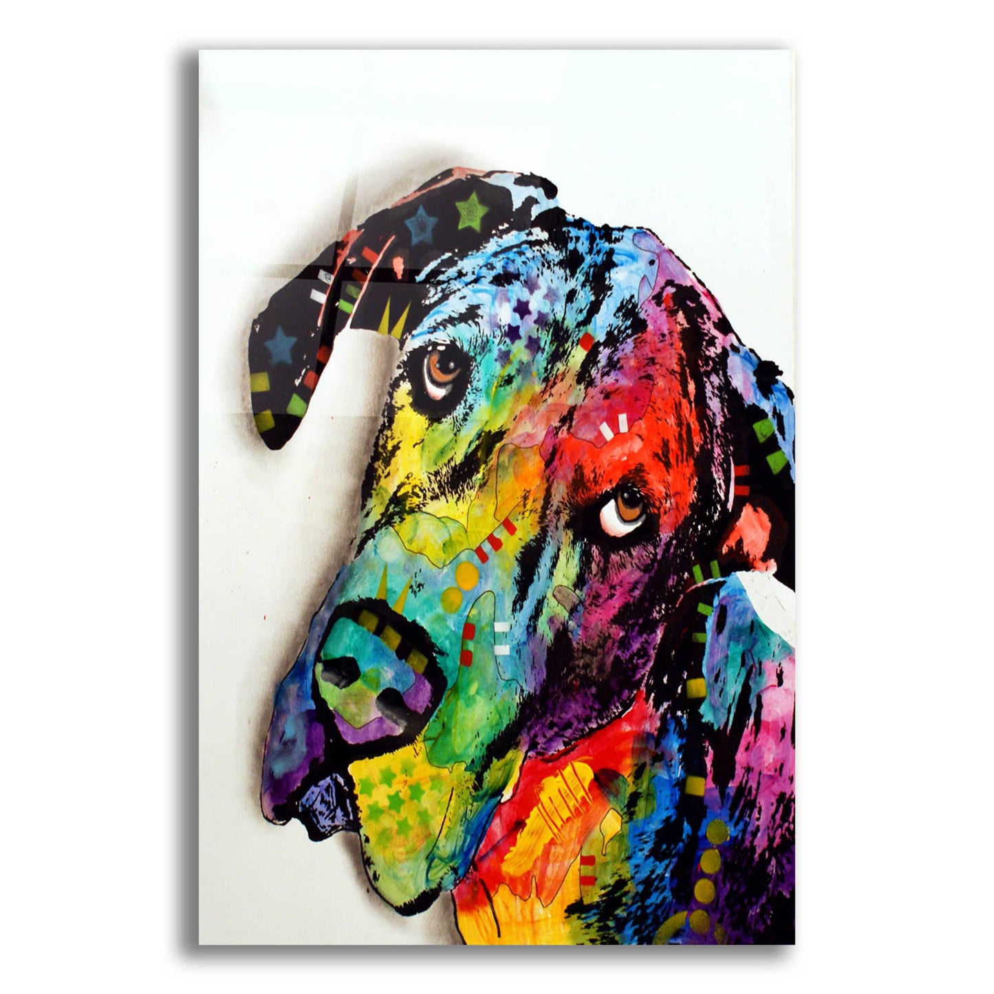 Epic Art 'Tilted Dane' by Dean Russo, Acrylic Glass Wall Art,12x16