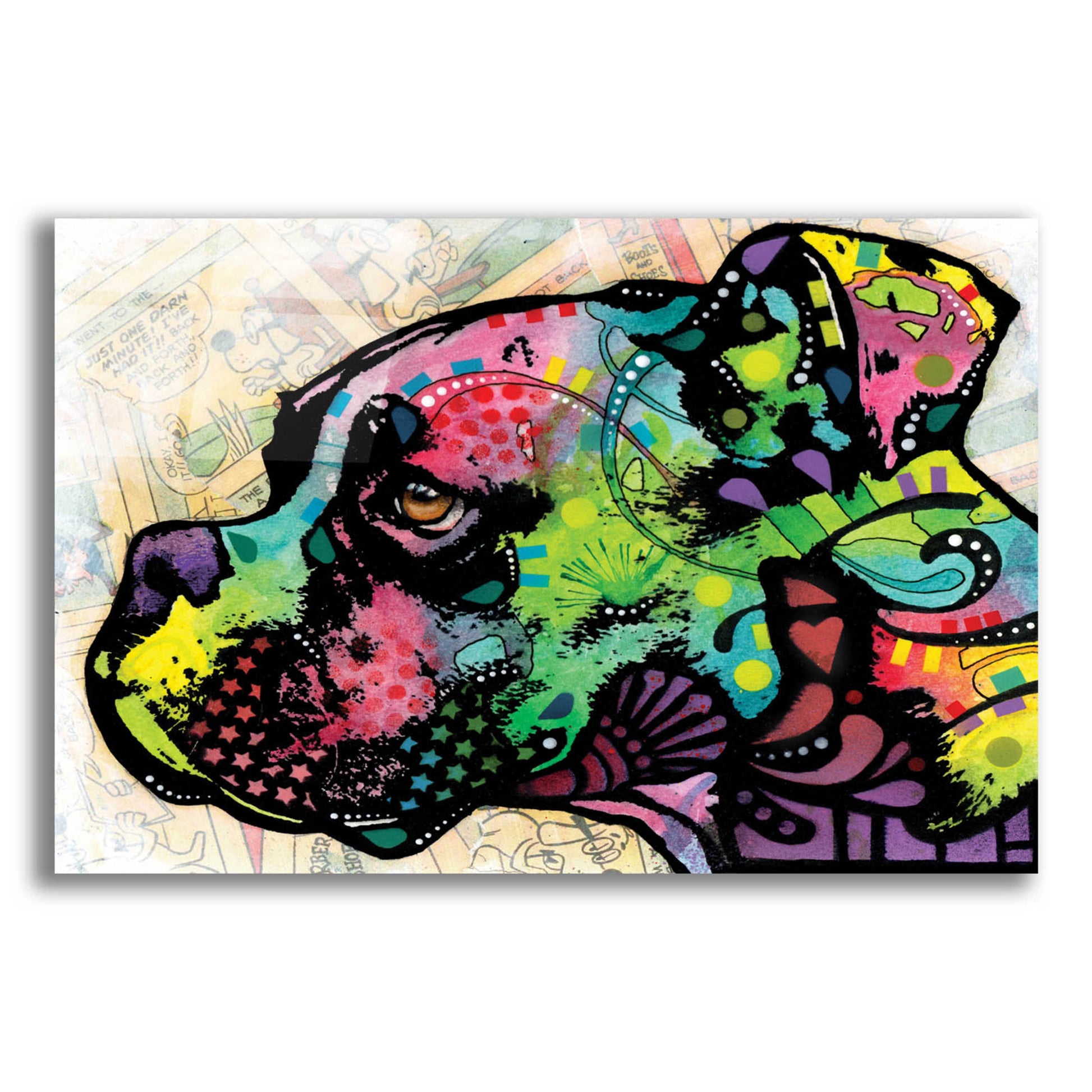 Epic Art 'Profile Boxer Deco' by Dean Russo, Acrylic Glass Wall Art,16x12