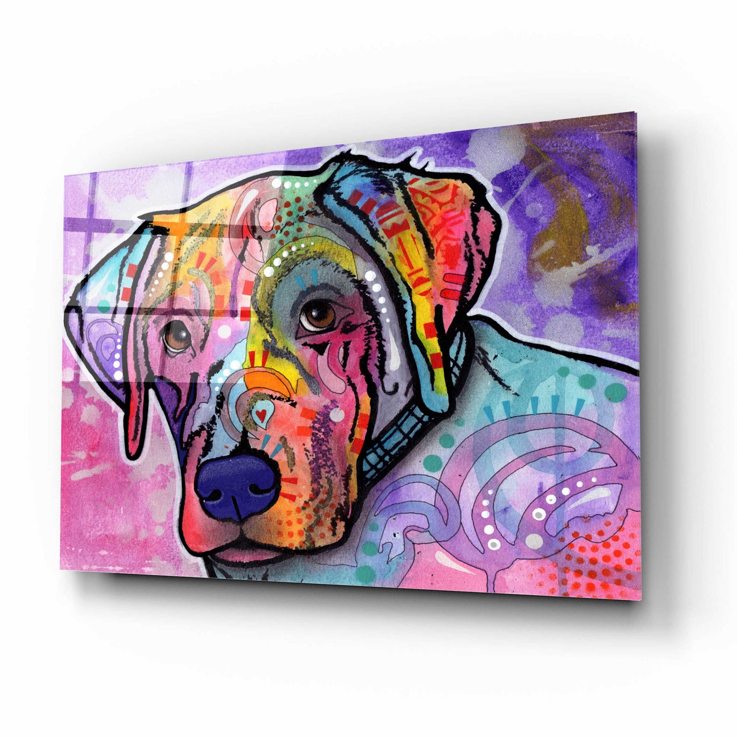 Epic Art 'Petunia' by Dean Russo, Acrylic Glass Wall Art,16x12