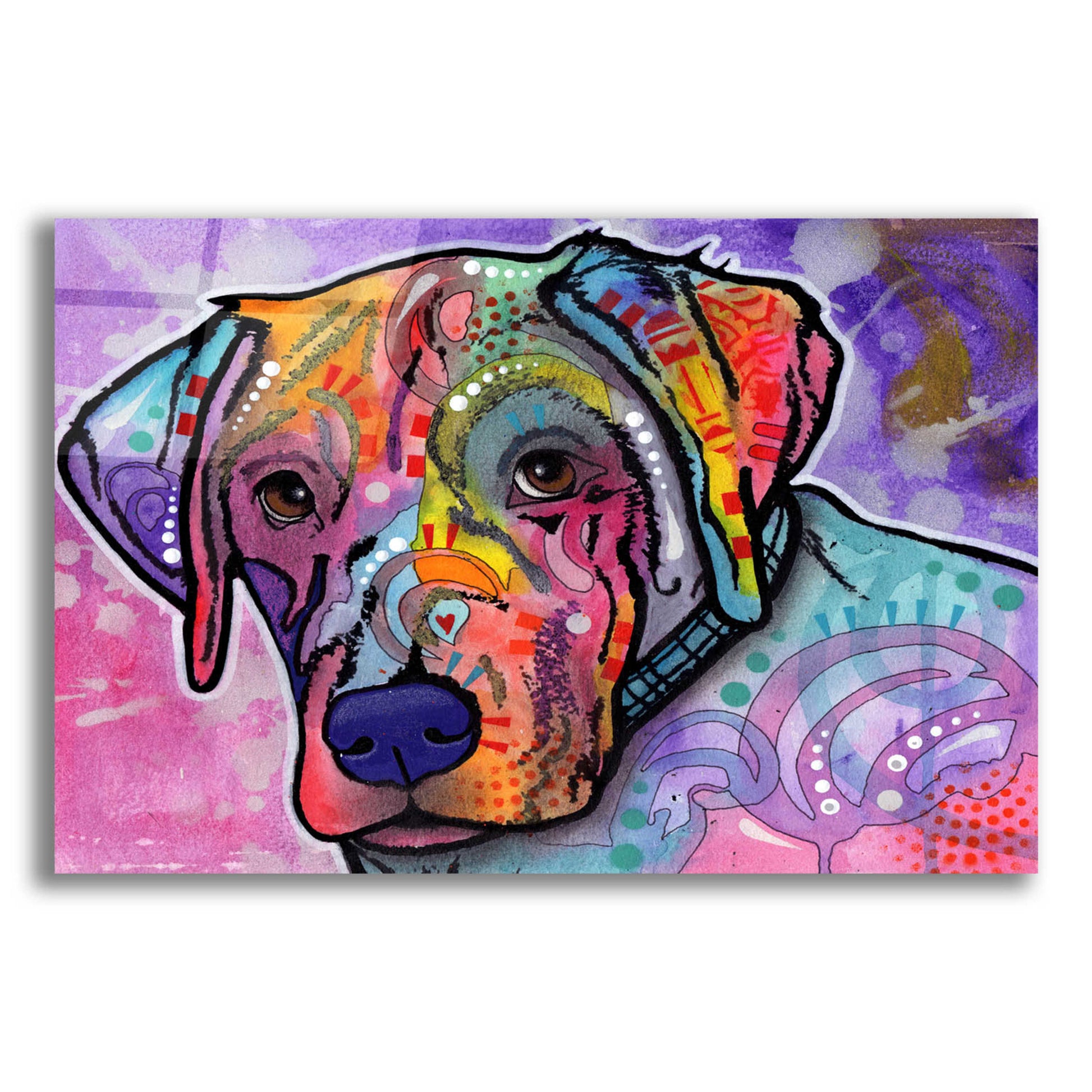 Epic Art 'Petunia' by Dean Russo, Acrylic Glass Wall Art,16x12