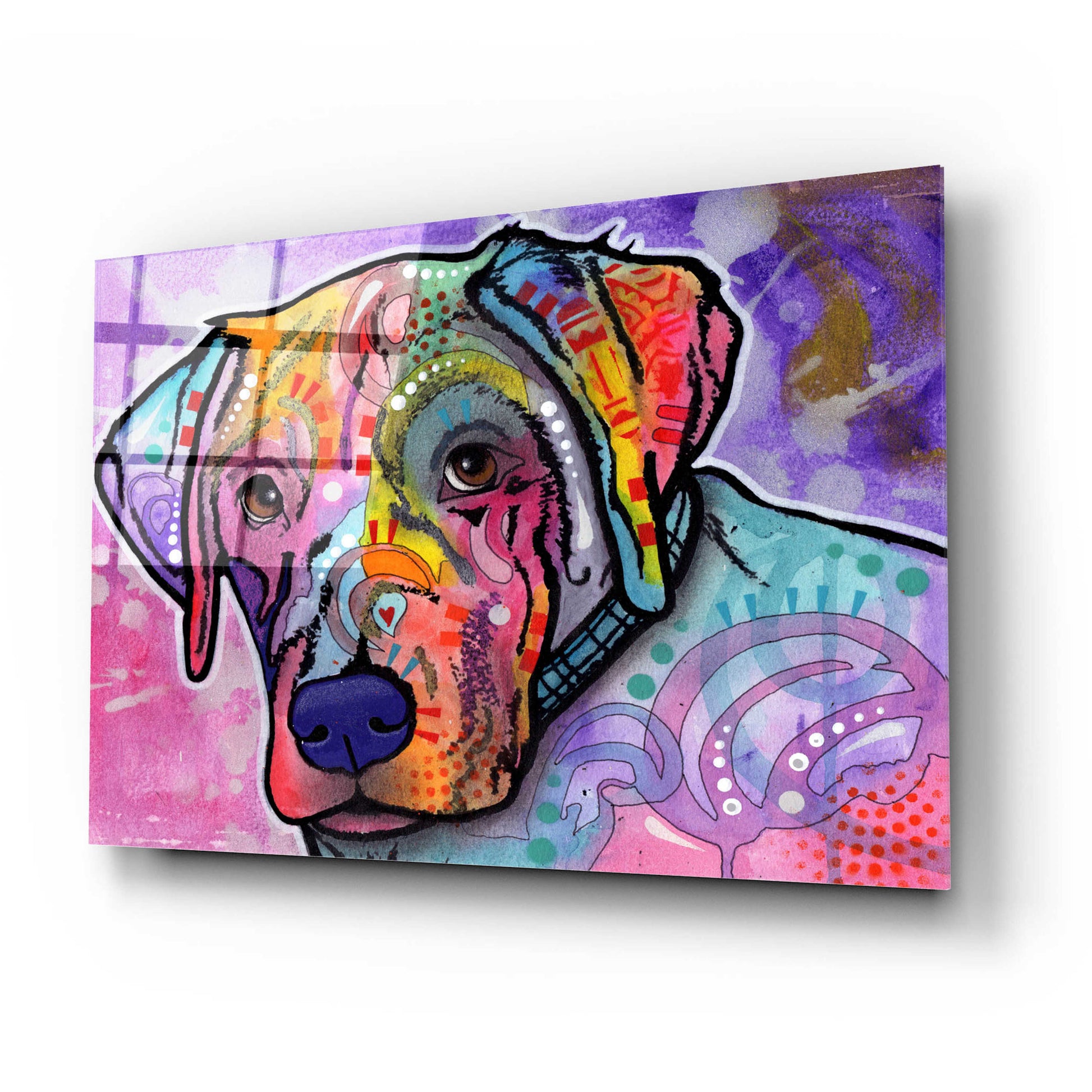 Epic Art 'Petunia' by Dean Russo, Acrylic Glass Wall Art,24x16