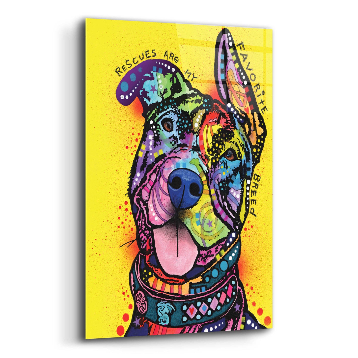 Epic Art 'My Favorite Breed' by Dean Russo, Acrylic Glass Wall Art,12x16